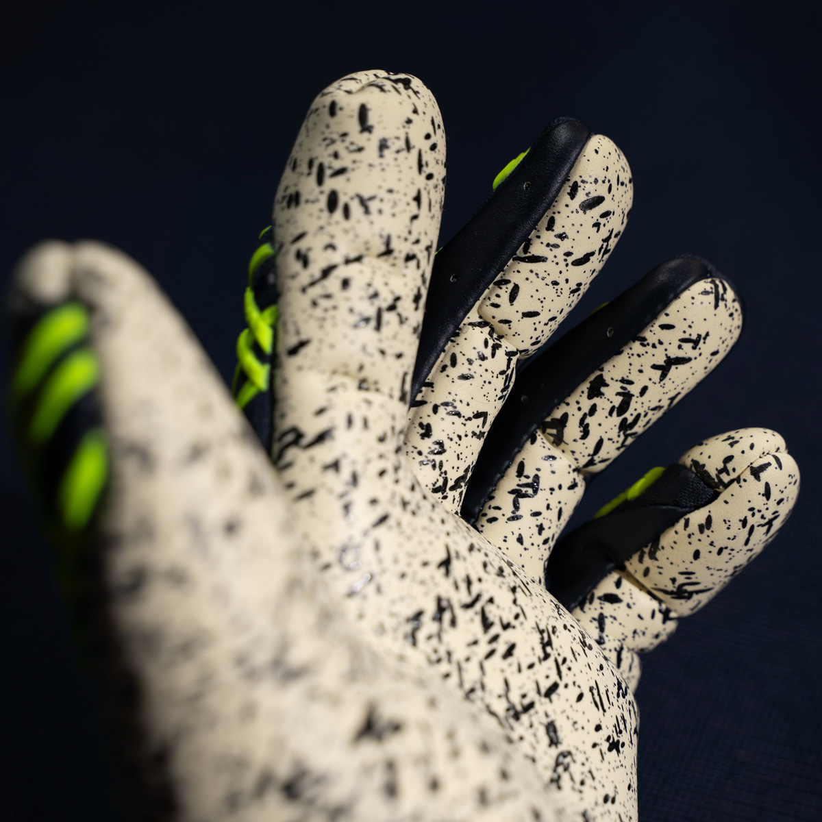 Prediction Supergrip+ HN