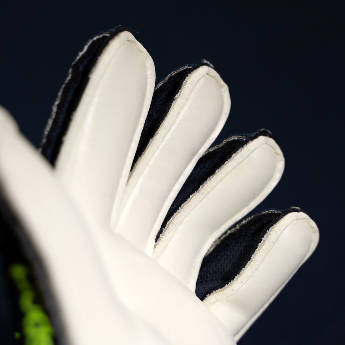 Prediction Soft Flex Frame