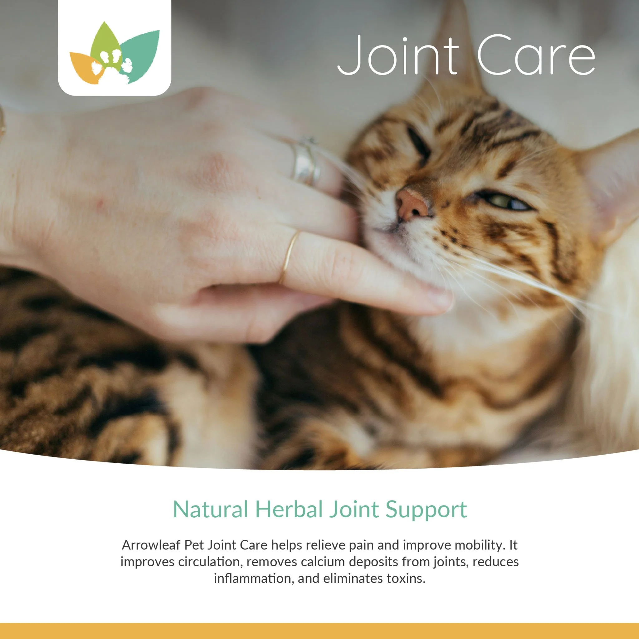 Arrowleaf Pet Joint Care (NaturPet In Canada) - For Mobility & Comfort