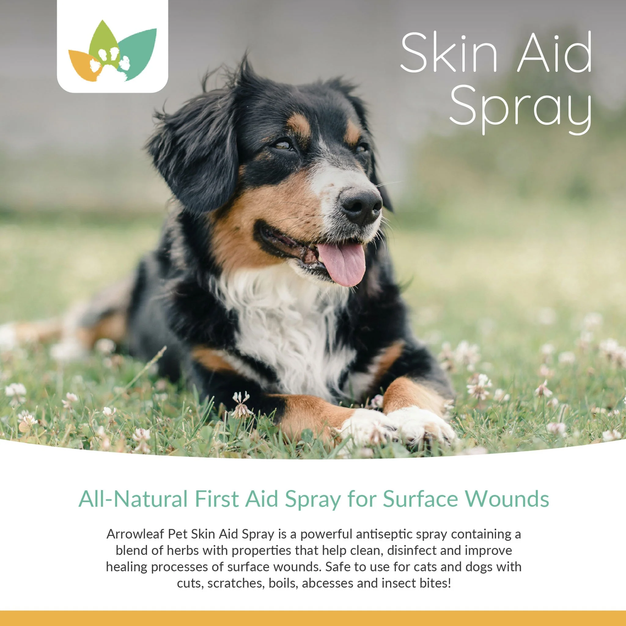 Arrowleaf Pet Skin Aid Spray - Wound Cleansing And Care