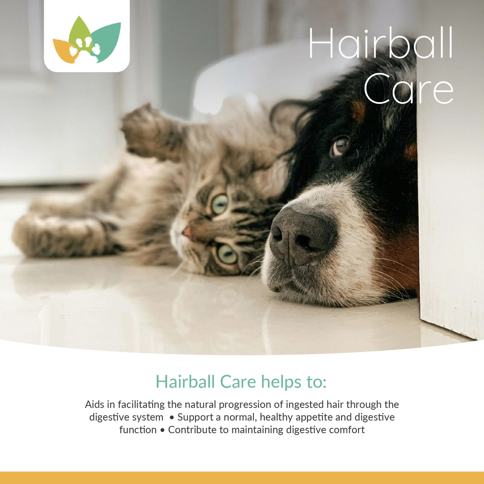 Arrowleaf Pet Hairball Care (NaturPet in Canada) - Optimal Digestive Support