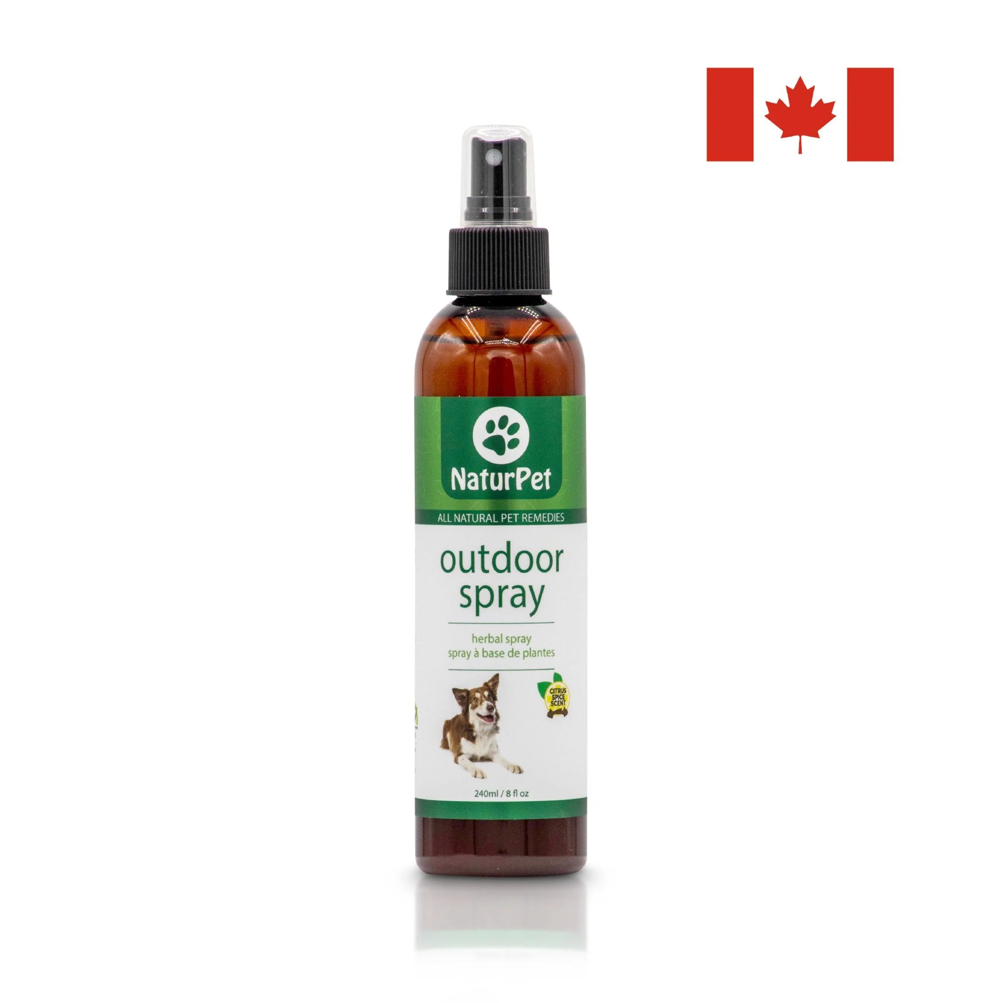 Arrowleaf Pet Outdoor Spray (NaturPet In Canada) - A Must-Have For Hikes & Wet Dogs!