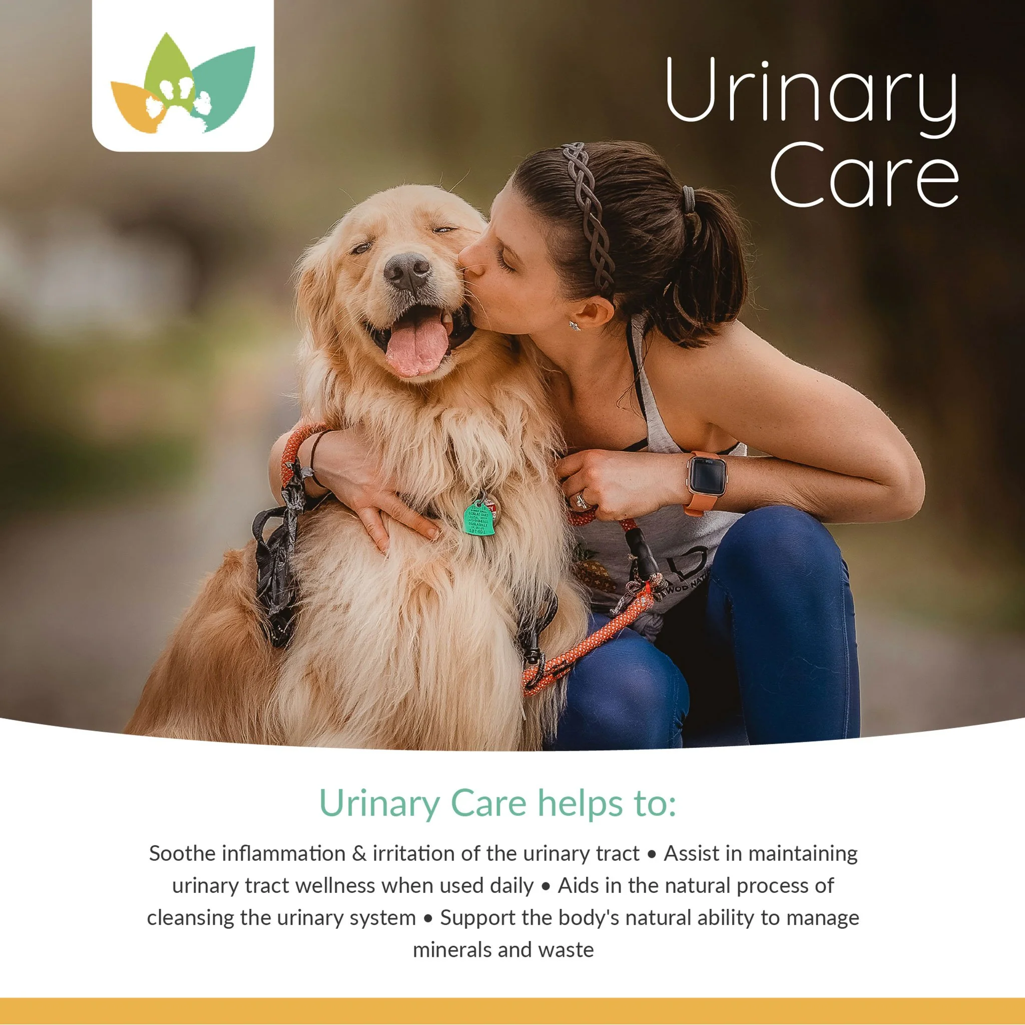 Arrowleaf Pet Urinary Care (NaturPet In Canada) - For Urinary Tract Support | UTI Support, Crystals, Stones