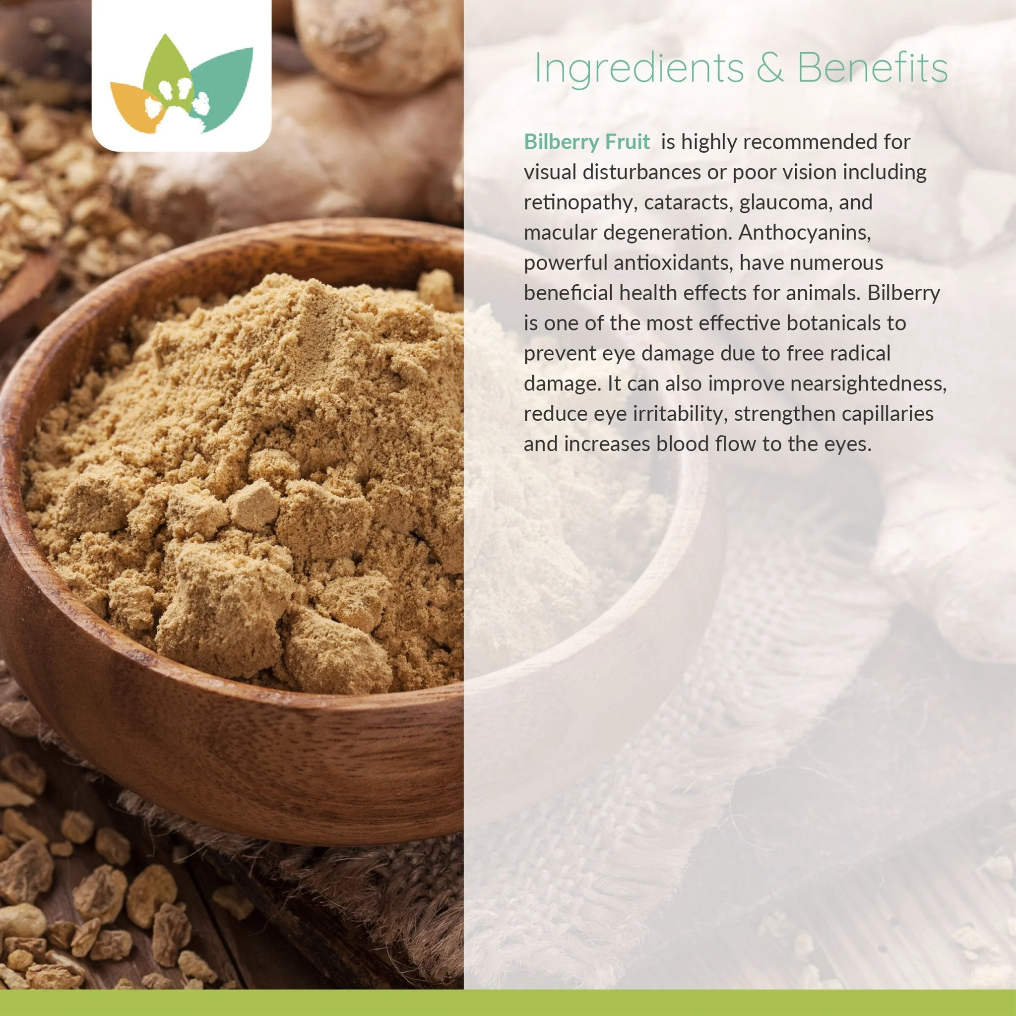 Arrowleaf Pet Vision Care (NaturPet In Canada) -  Eye Health Support For Cats and Dogs