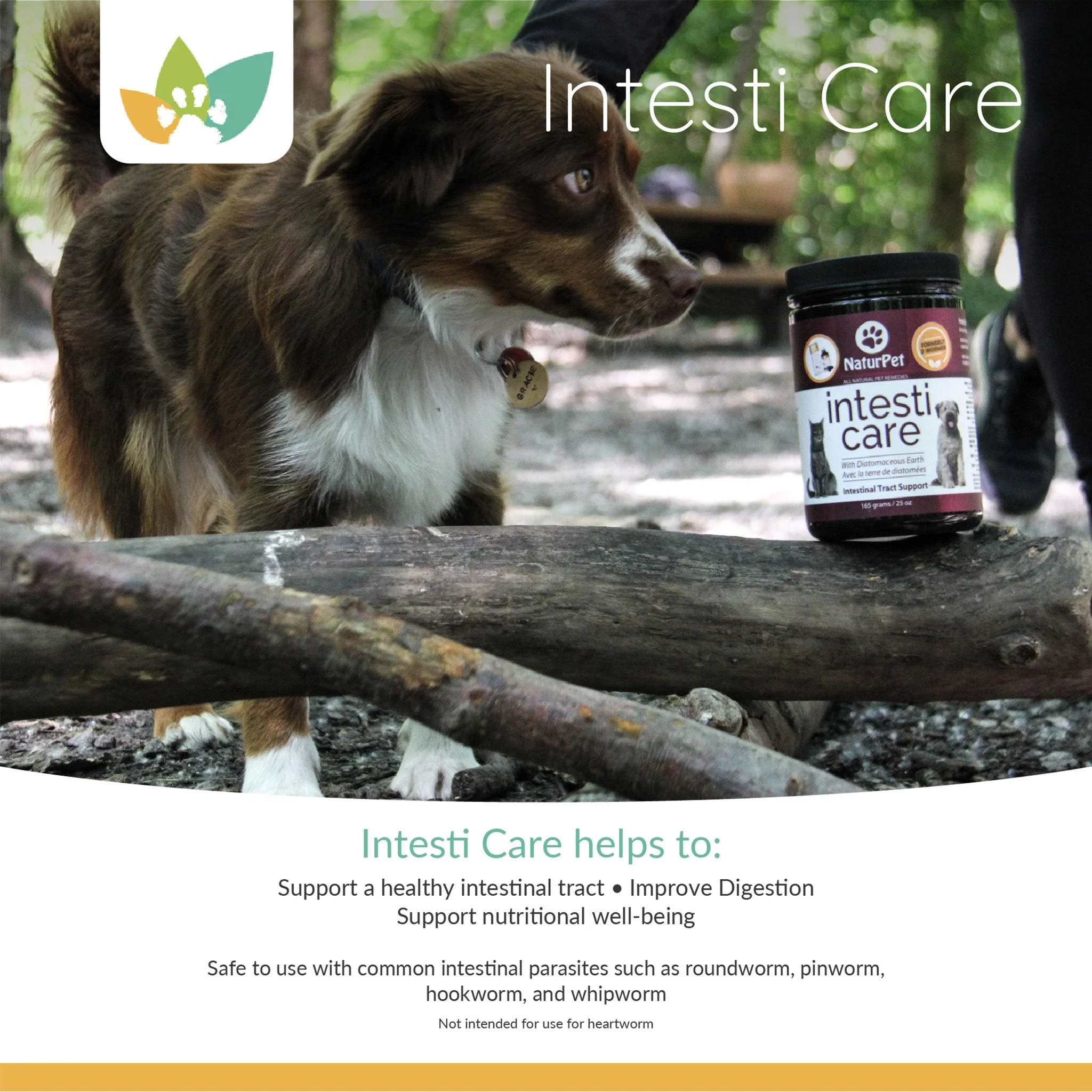 Arrowleaf Pet Intesti Care (NaturPet In Canada) - For Intestinal Health & Support