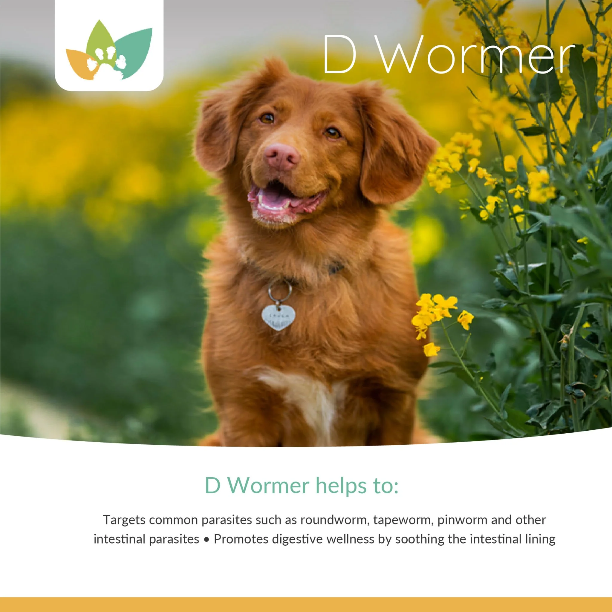 Arrowleaf Pet D Wormer - All Natural Deworming for Cats and Dogs