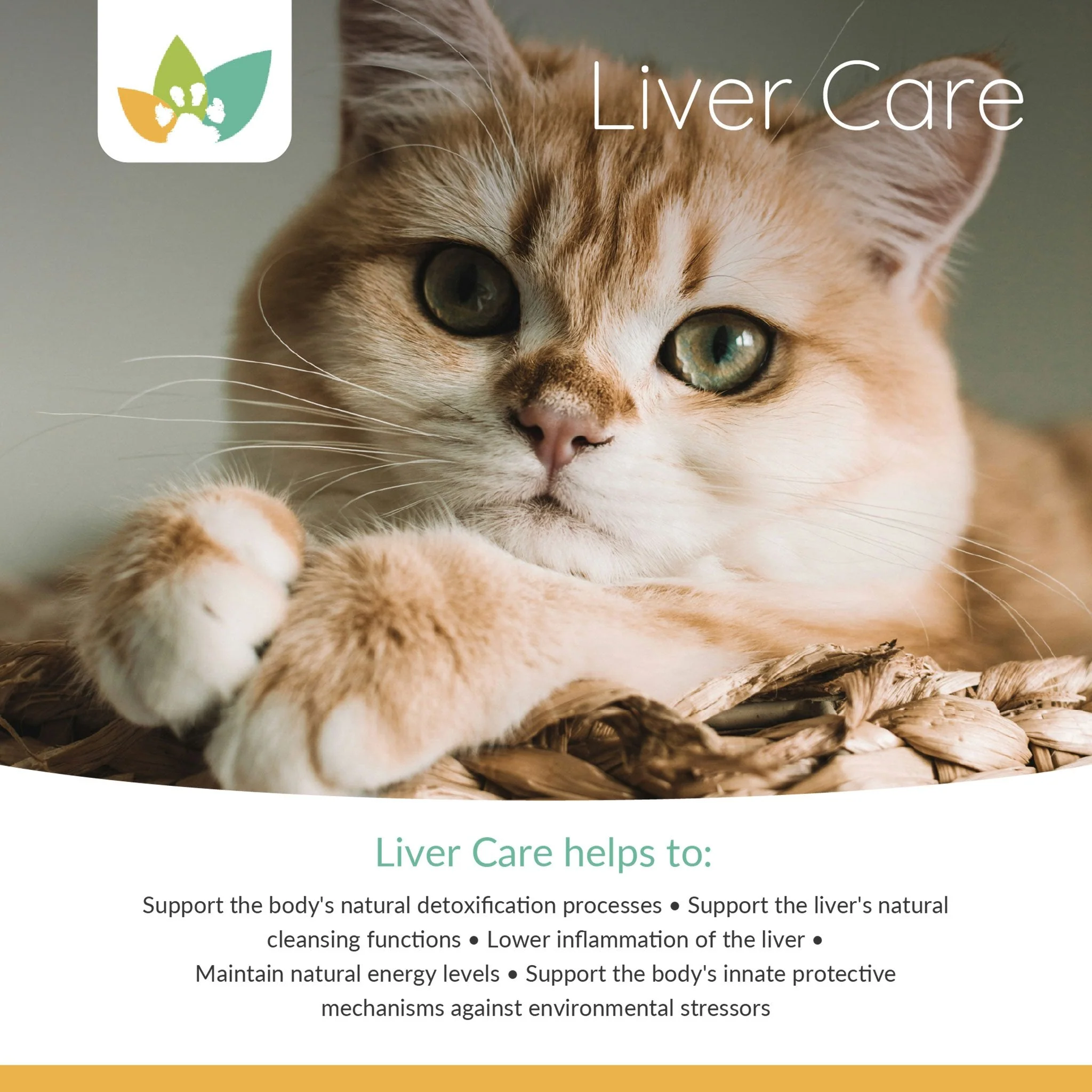 Arrowleaf Pet Liver Care (NaturPet in Canada) - With Milk Thistle