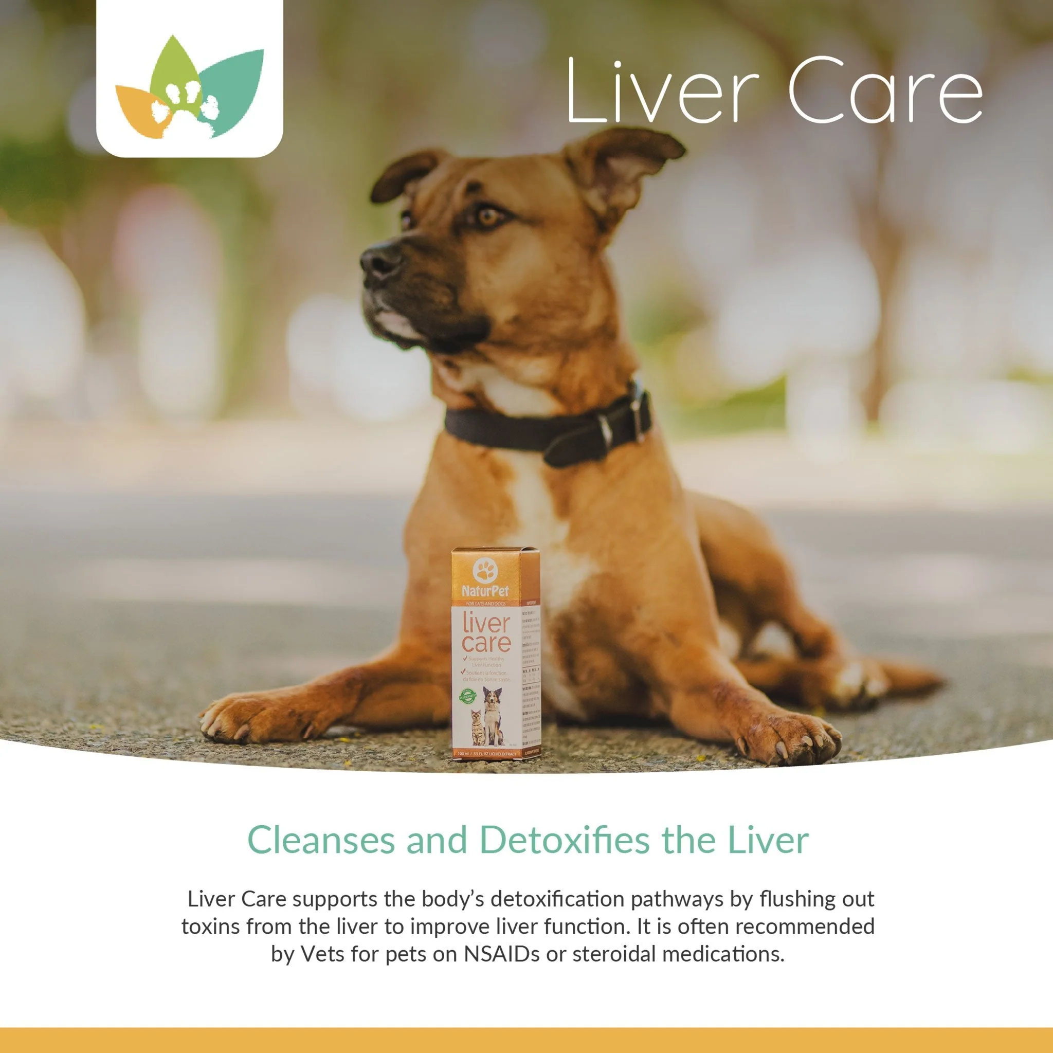 Arrowleaf Pet Liver Care (NaturPet in Canada) - With Milk Thistle
