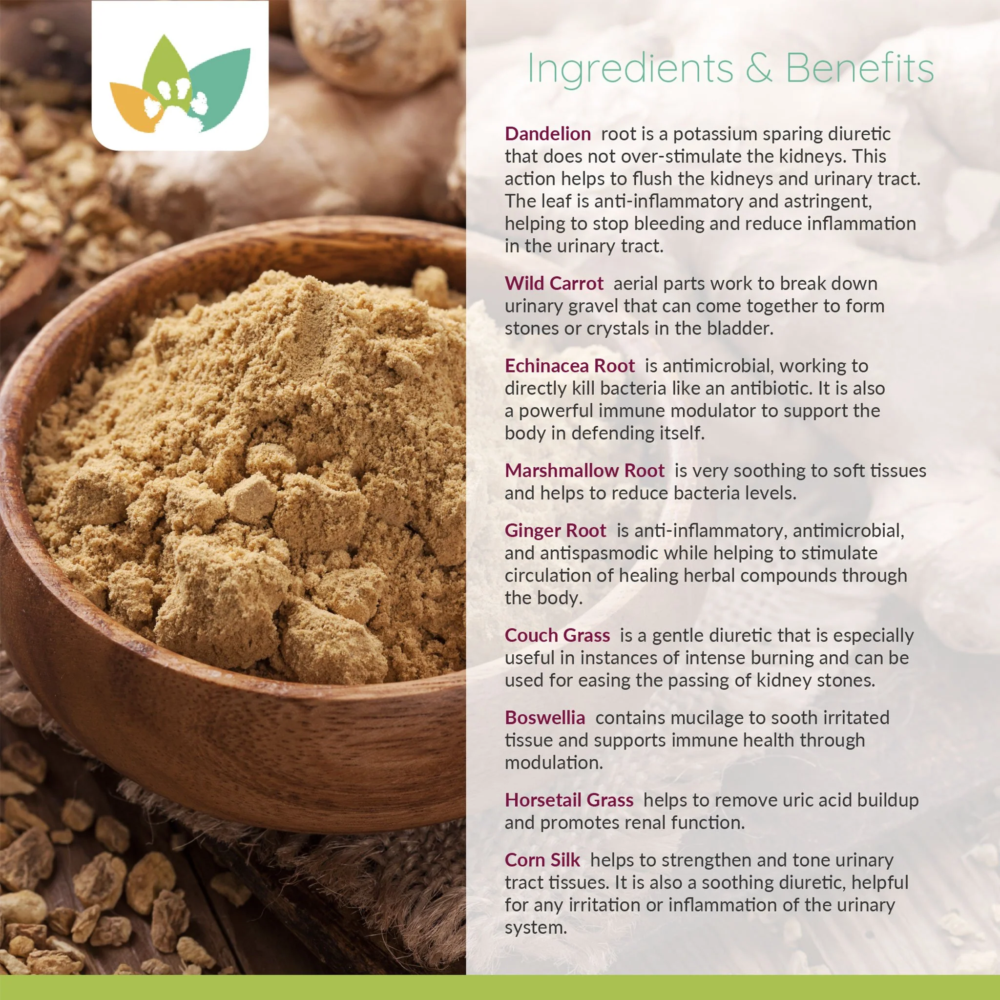 Arrowleaf Pet Urinary Care (NaturPet In Canada) - For Urinary Tract Support | UTI Support, Crystals, Stones