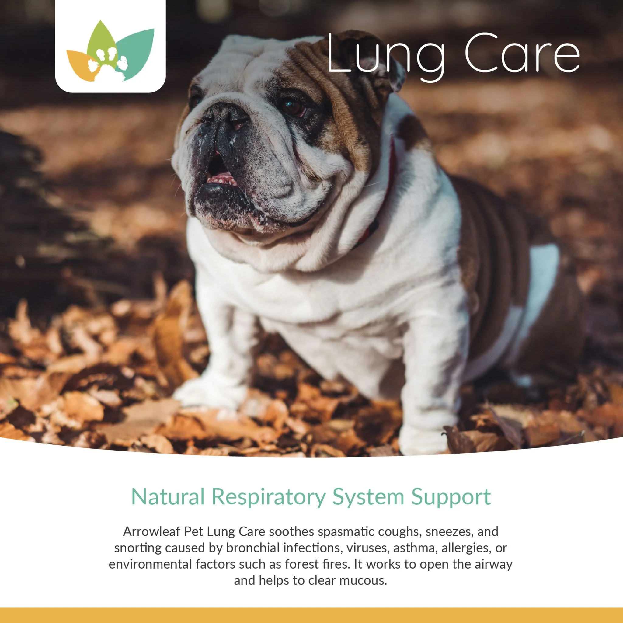 Arrowleaf Pet Lung Care (NaturPet In Canada) -  Sneezing, Wheezing
