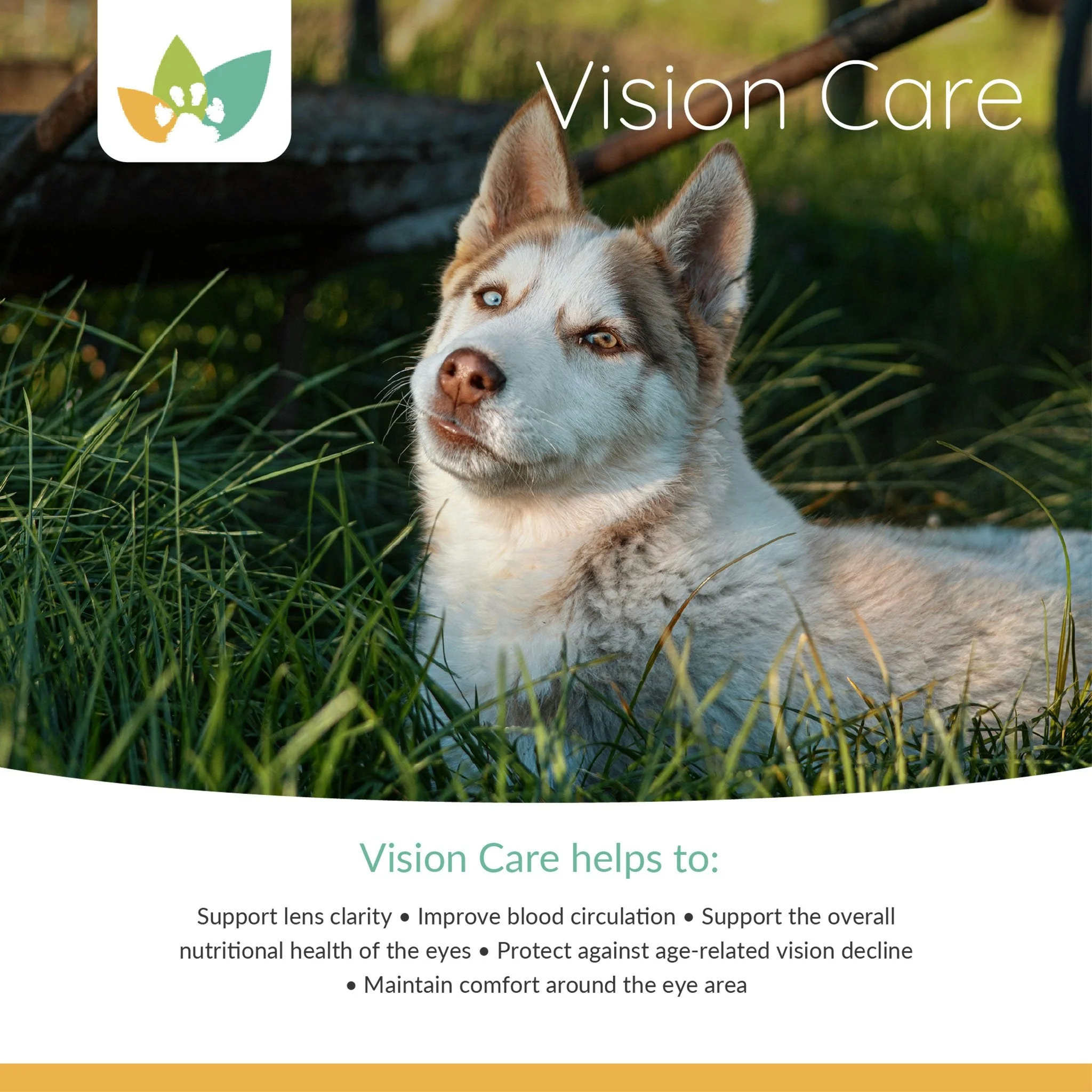 Arrowleaf Pet Vision Care (NaturPet In Canada) -  Eye Health Support For Cats and Dogs