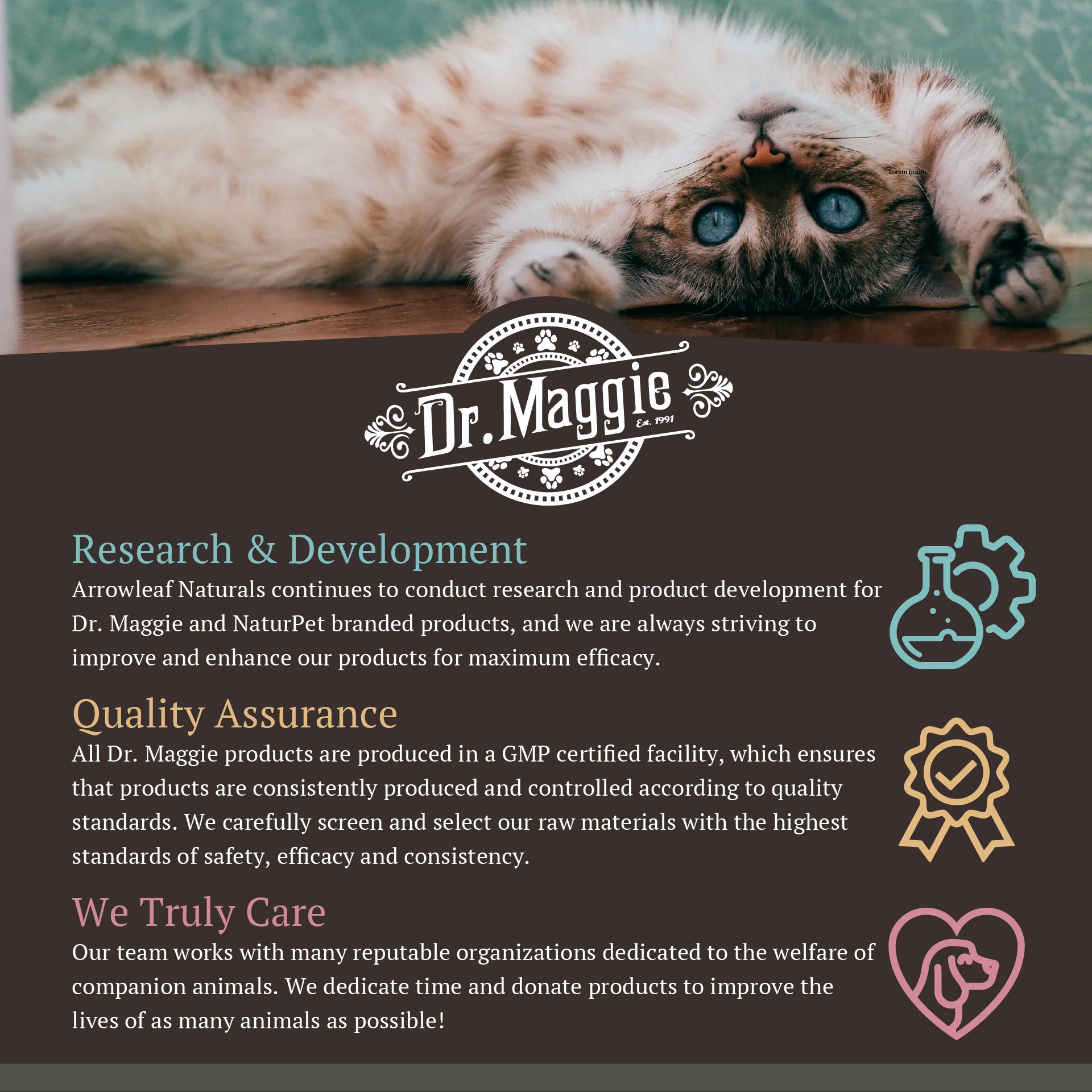 Dr. Maggie Joint Formula - Joint Support for Dogs and Cats