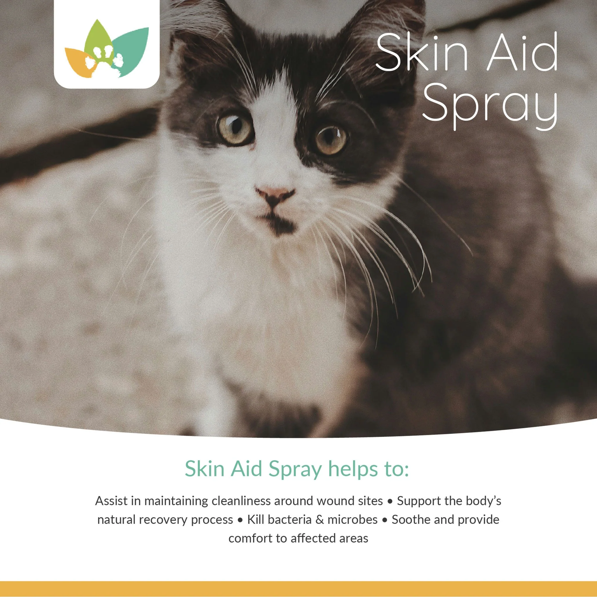 Arrowleaf Pet Skin Aid Spray - Wound Cleansing And Care