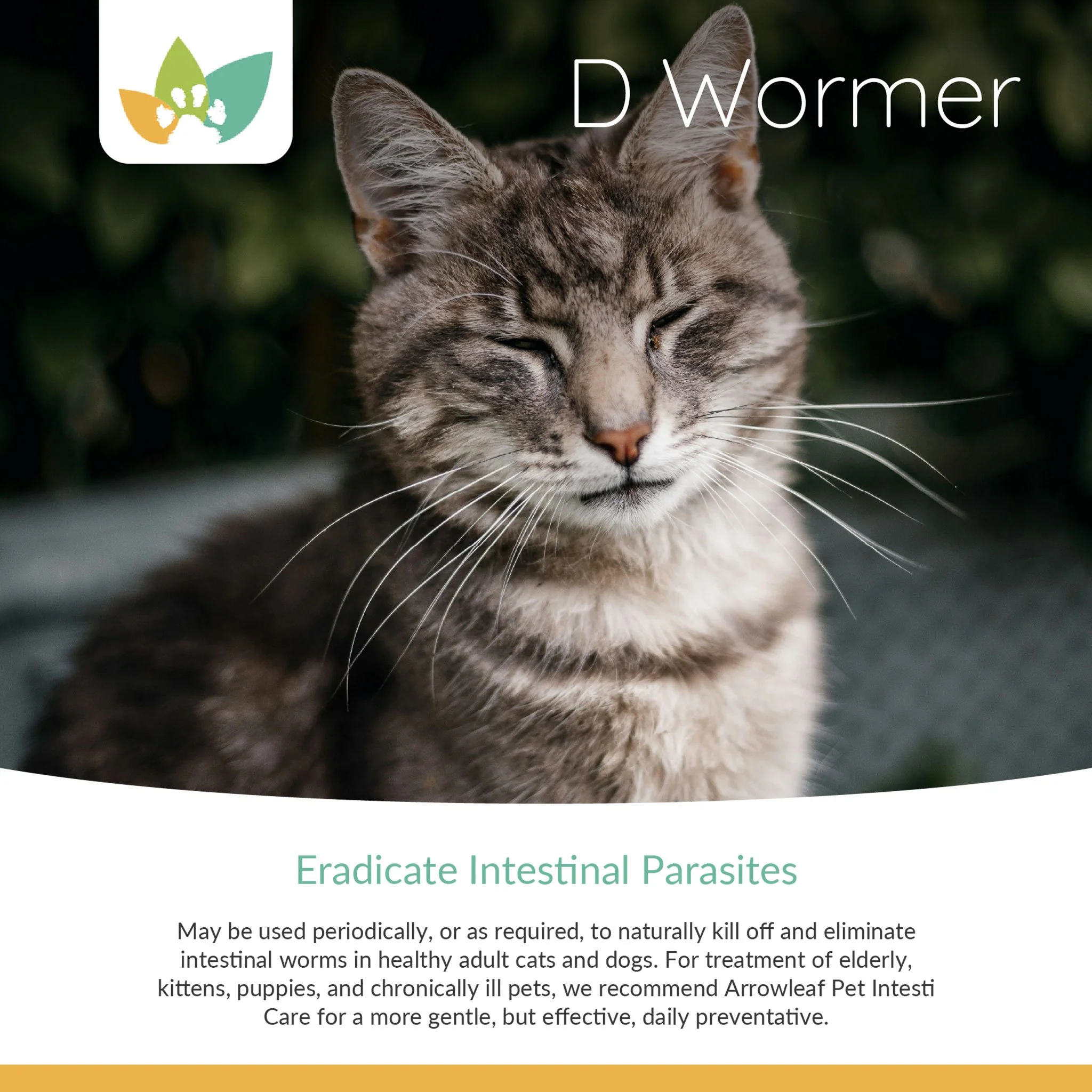 Arrowleaf Pet D Wormer - All Natural Deworming for Cats and Dogs