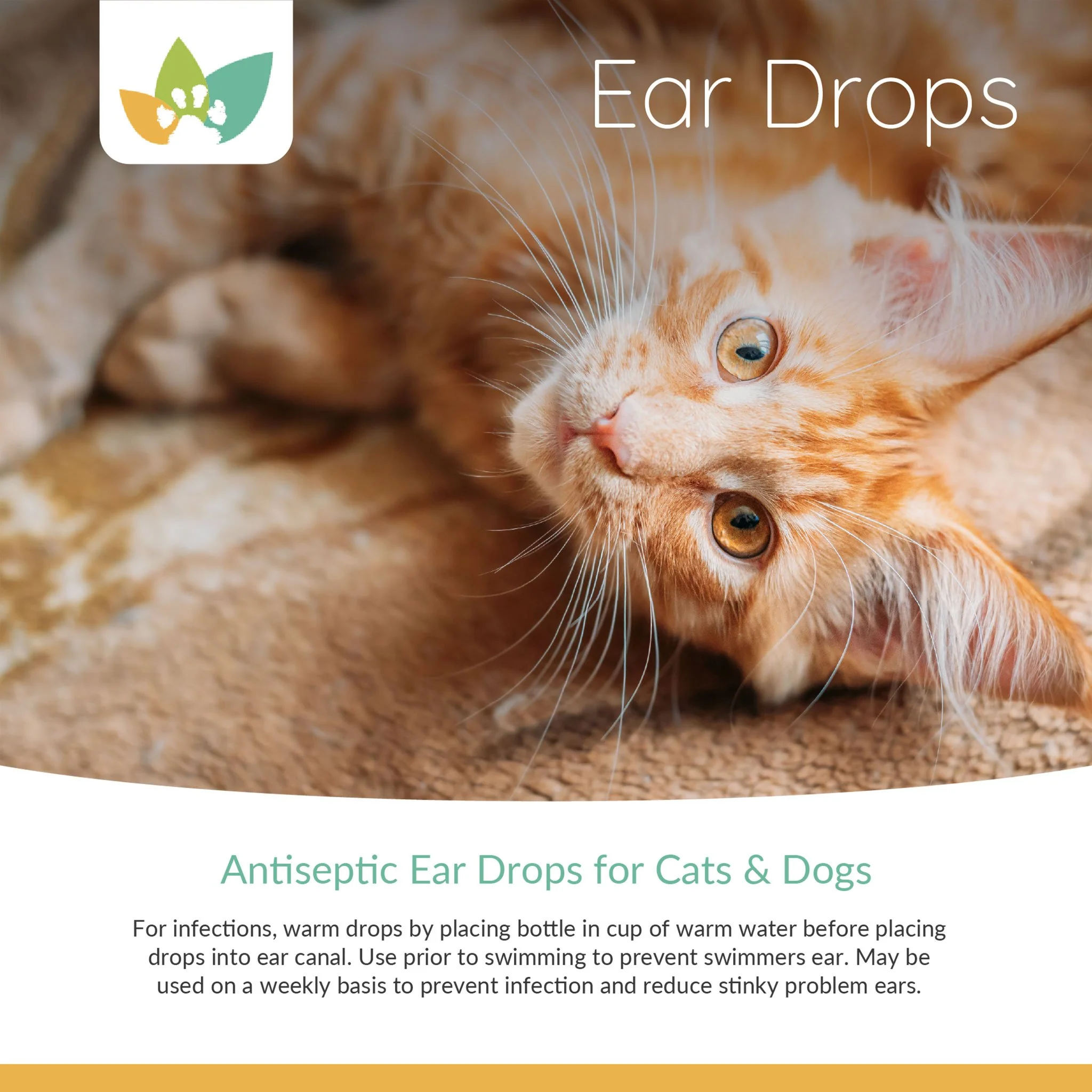 Arrowleaf Pet Ear Drops (NaturPet in Canada) - For Cleaning & Swimming Protection