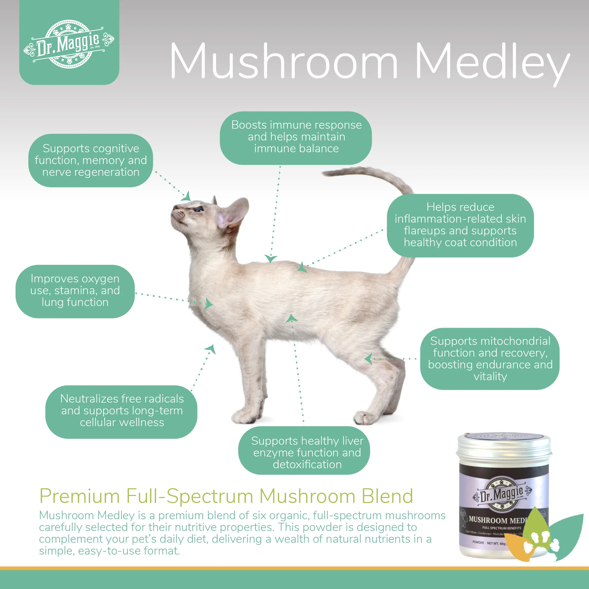 Dr. Maggie Mushroom Medley | Full-Spectrum, Organic Mushroom Blend