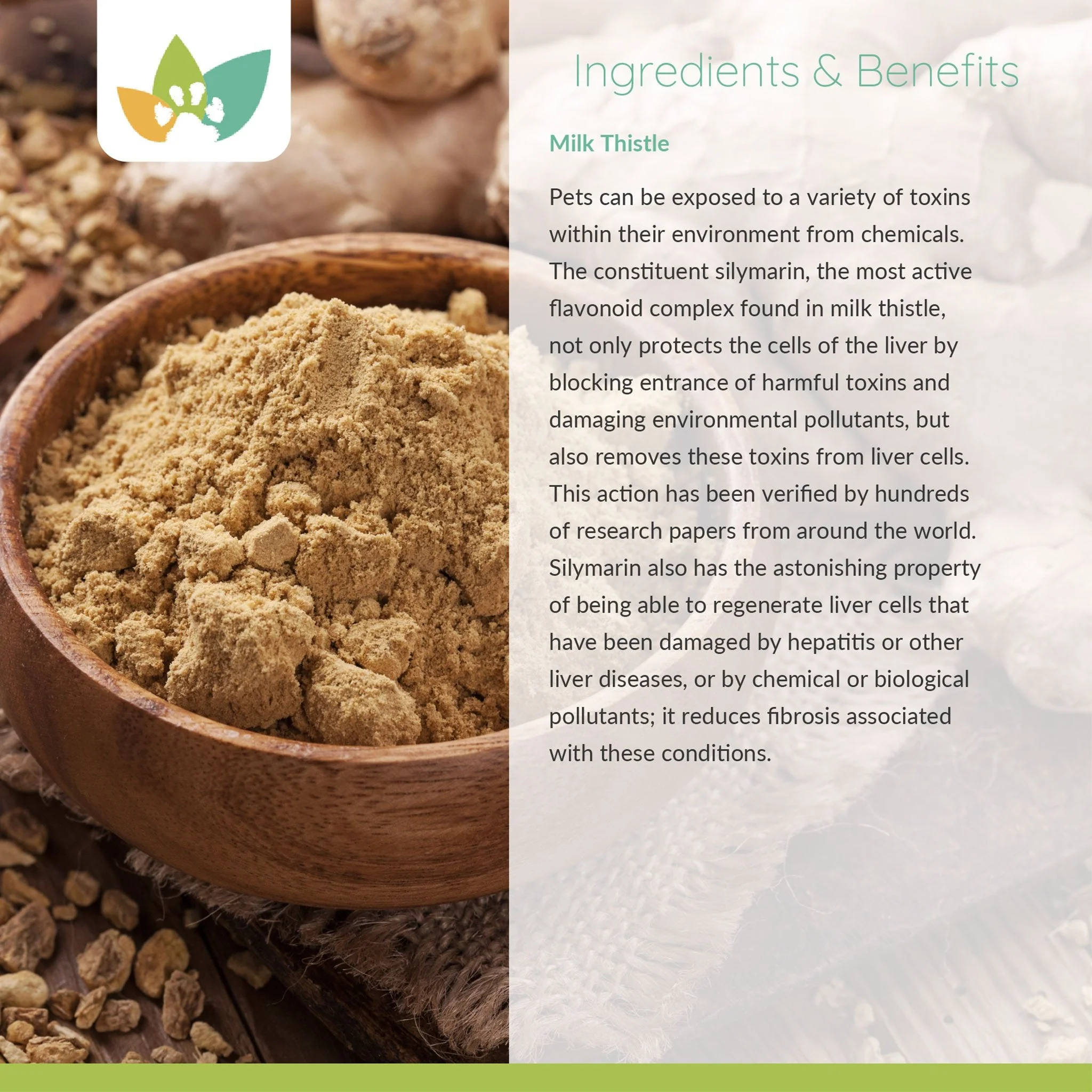 Arrowleaf Pet Liver Care (NaturPet in Canada) - With Milk Thistle