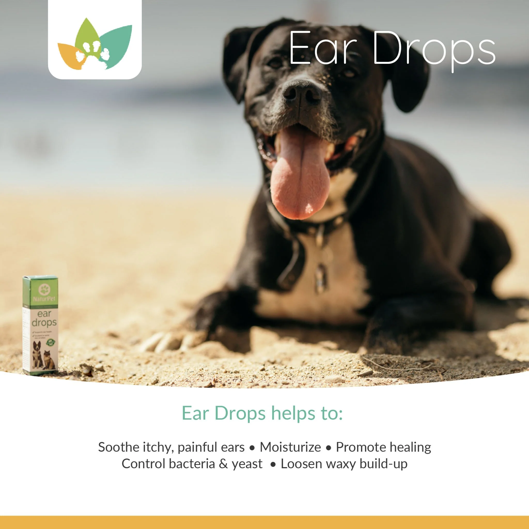 Arrowleaf Pet Ear Drops (NaturPet in Canada) - For Cleaning & Swimming Protection