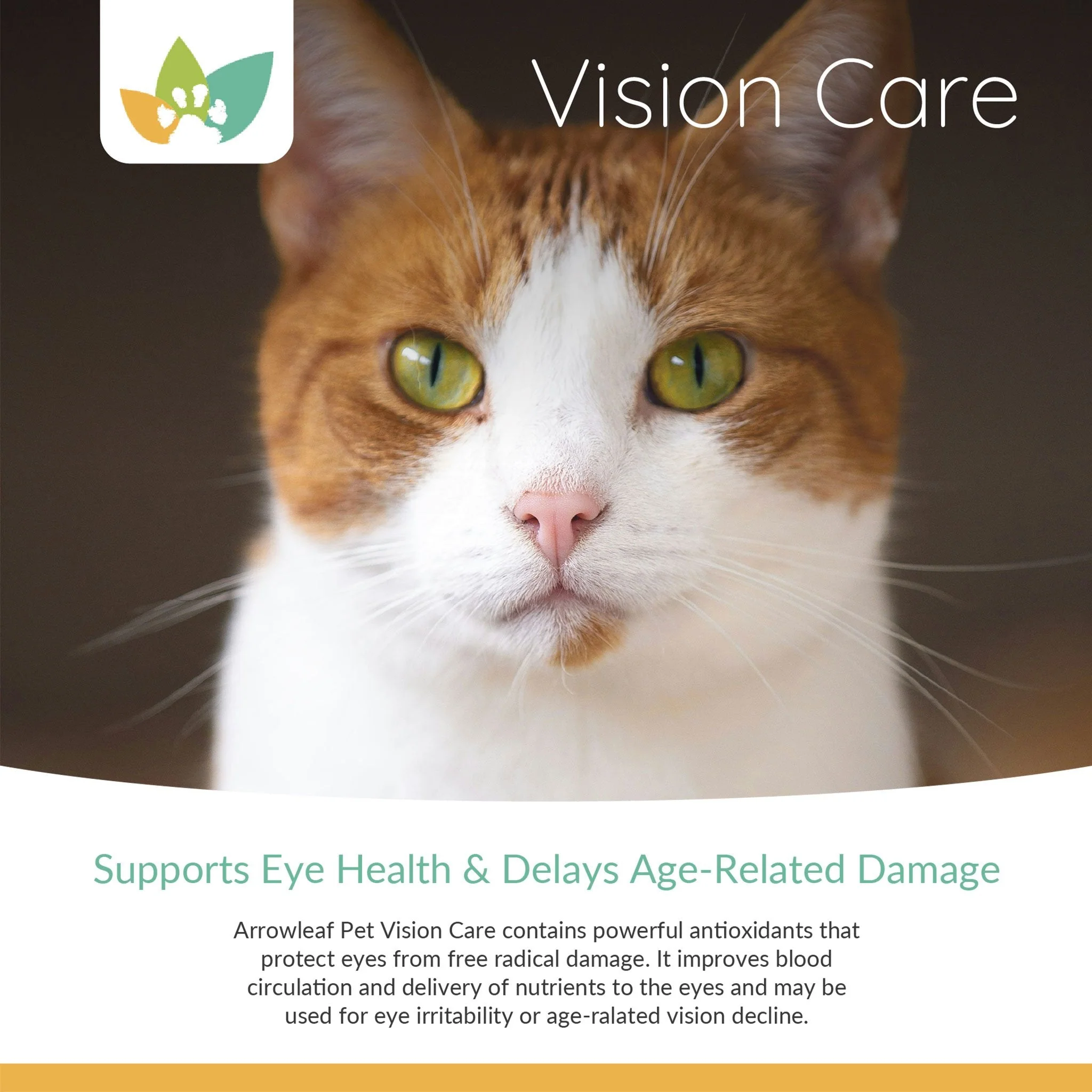 Arrowleaf Pet Vision Care (NaturPet In Canada) -  Eye Health Support For Cats and Dogs