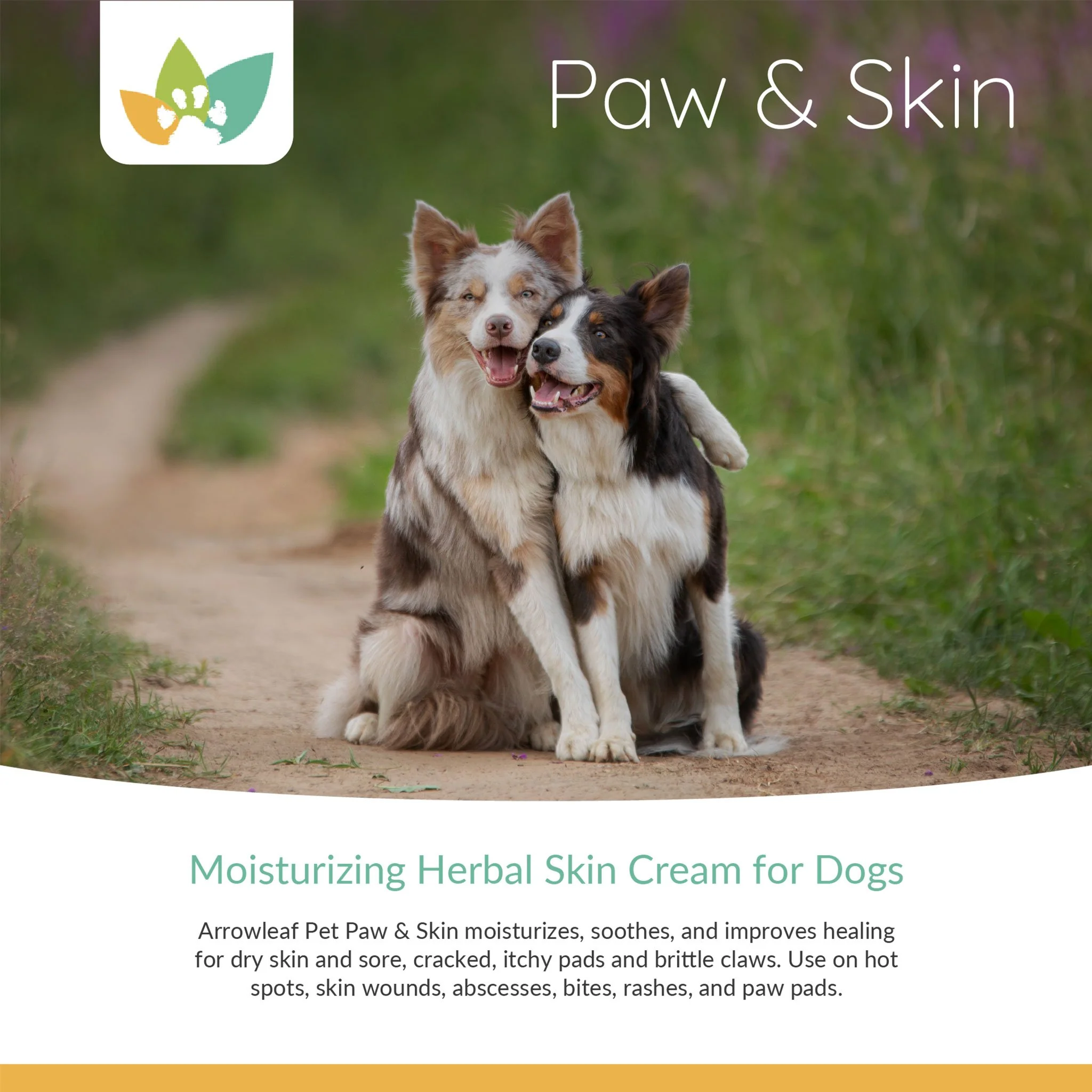 Arrowleaf Pet Paw & Skin (NaturPet In Canada) - For Bites, Scrapes, Cracked Pads, Hotspots