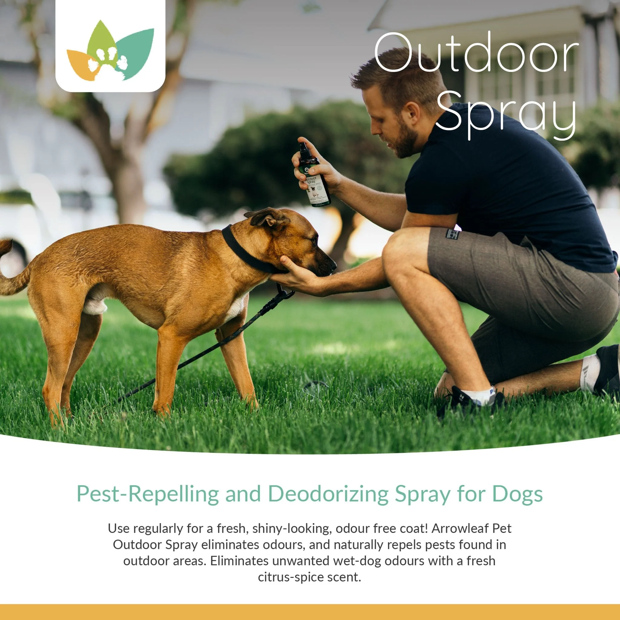 Arrowleaf Pet Outdoor Spray (NaturPet In Canada) - A Must-Have For Hikes & Wet Dogs!