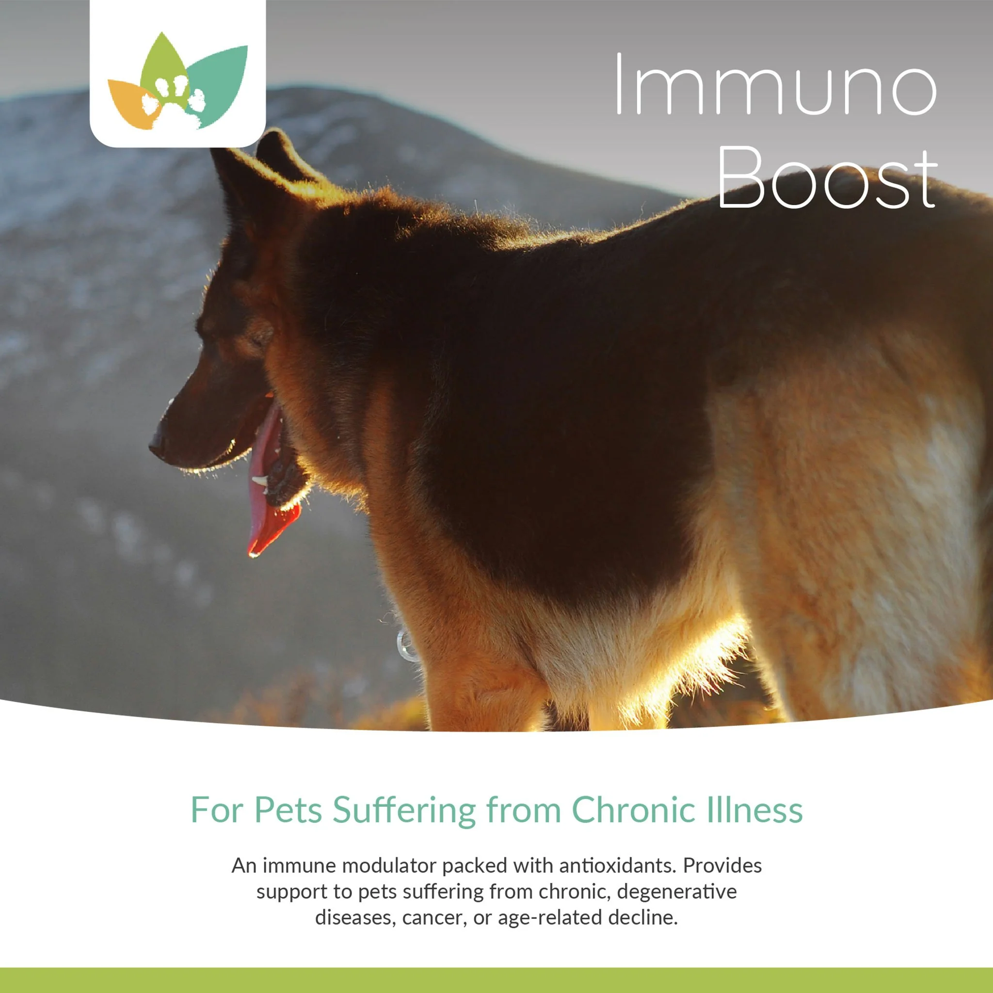 Arrowleaf Pet Immuno Boost (NaturPet in Canada) - Full System Support with Ashwagandha and Turmeric