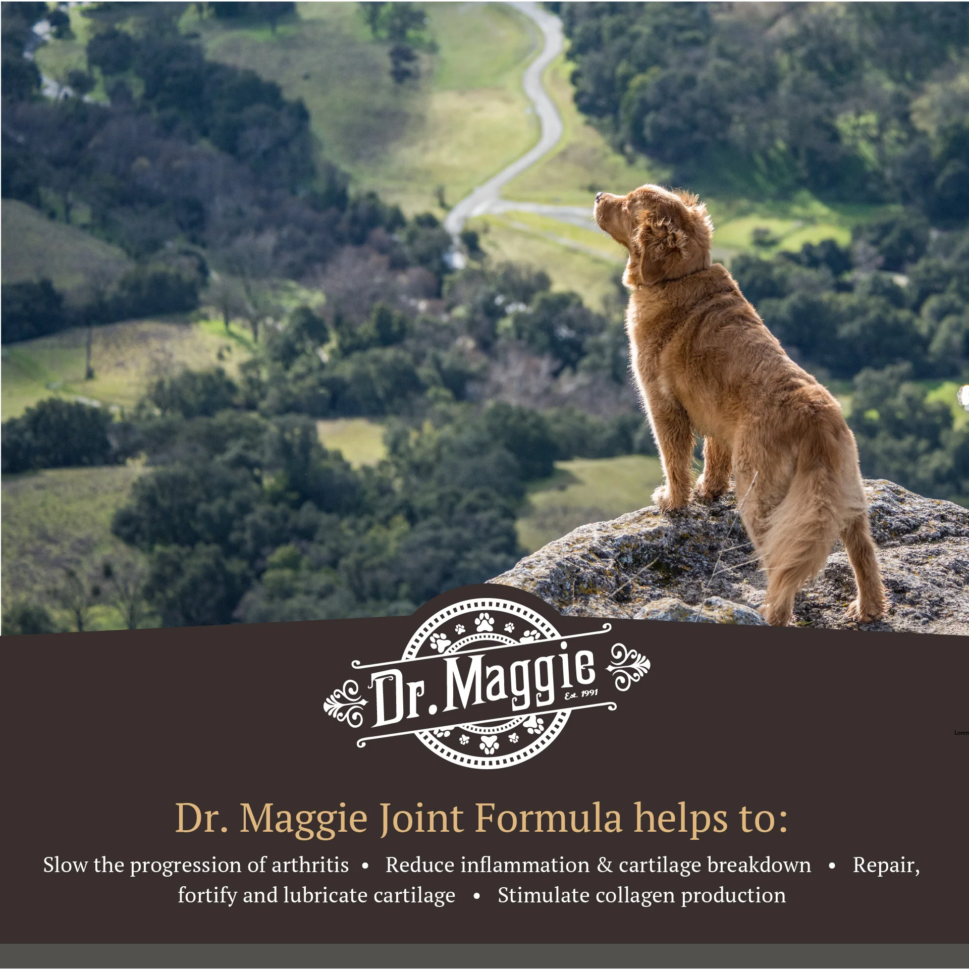 Dr. Maggie Joint Formula - Joint Support for Dogs and Cats