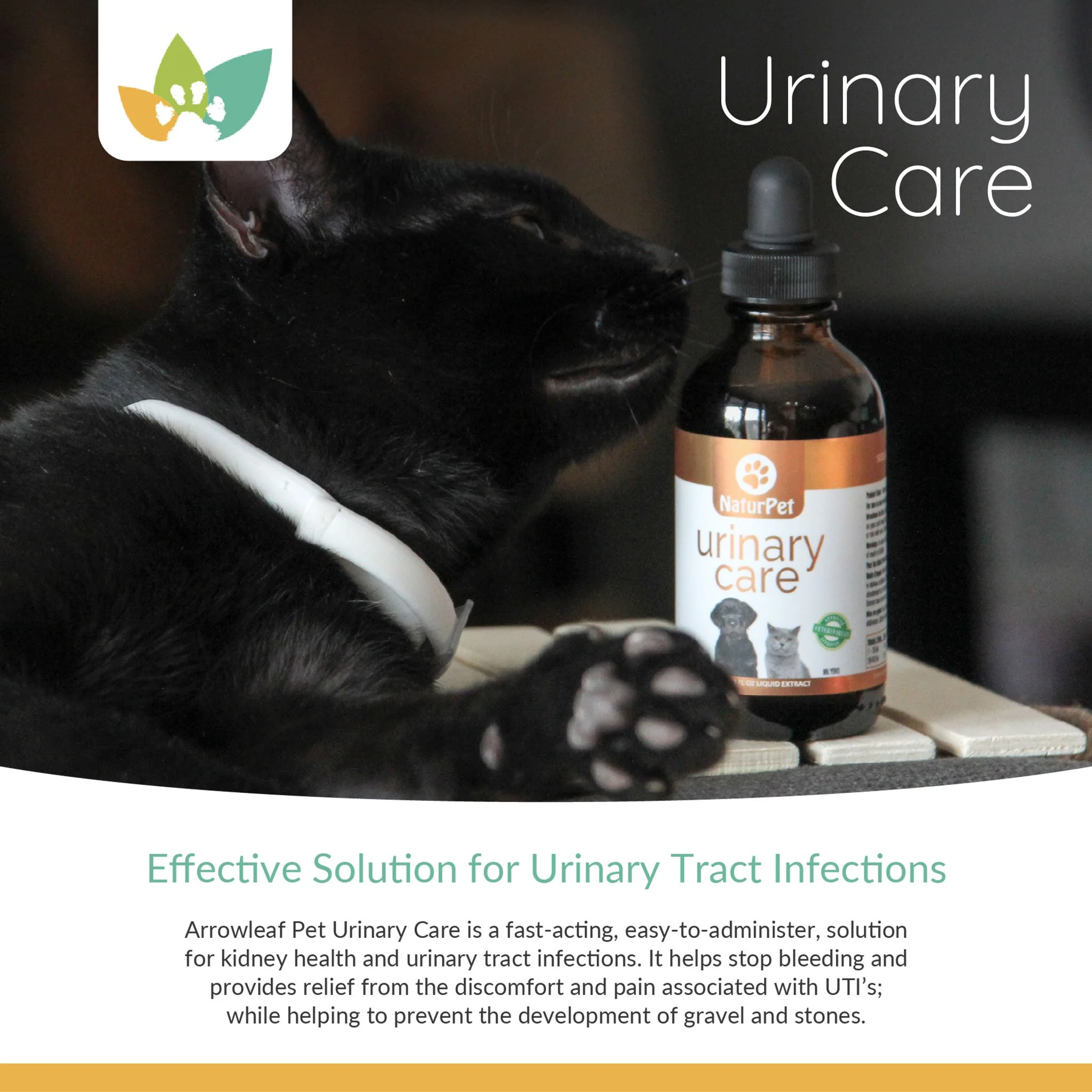 Arrowleaf Pet Urinary Care (NaturPet In Canada) - For Urinary Tract Support | UTI Support, Crystals, Stones