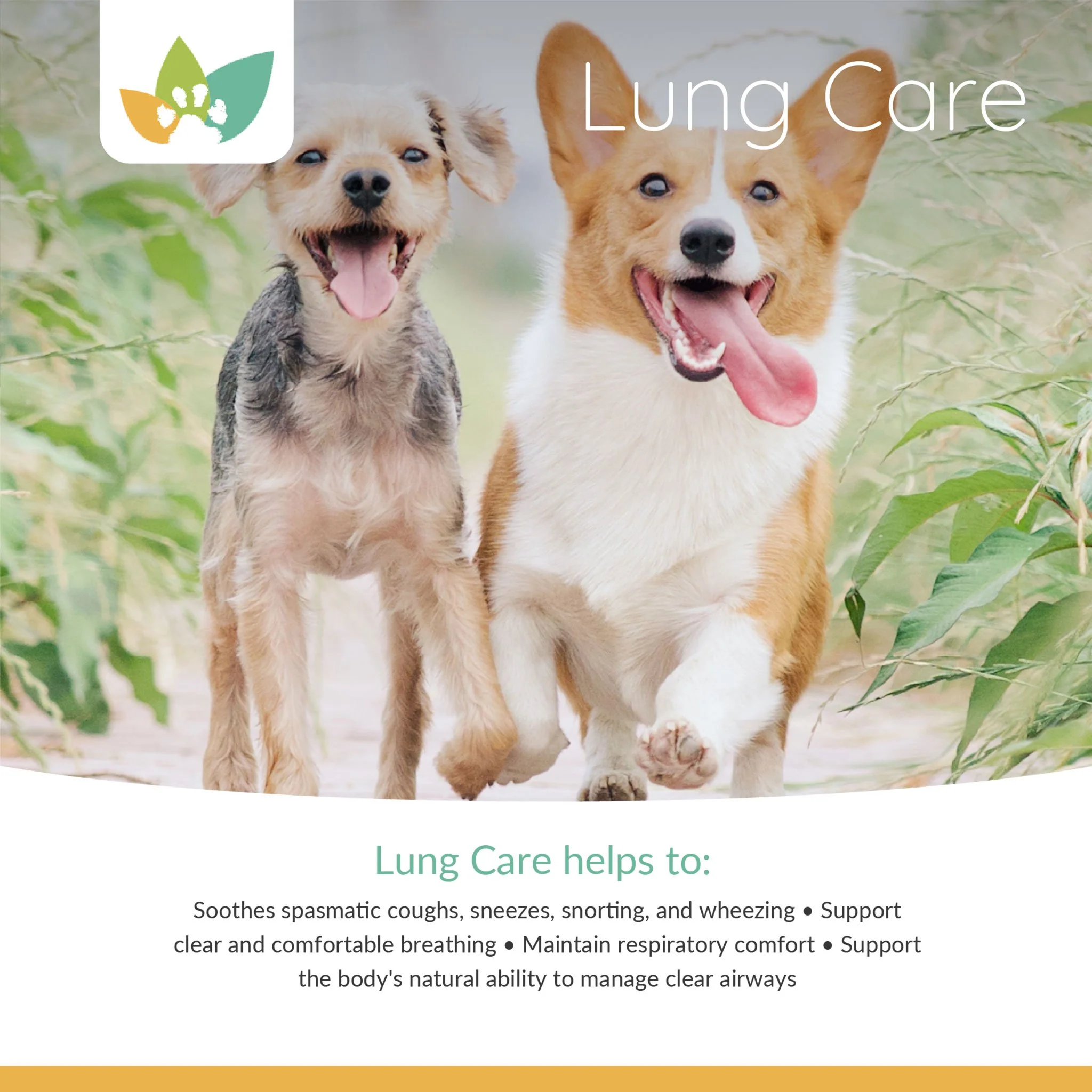 Arrowleaf Pet Lung Care (NaturPet In Canada) -  Sneezing, Wheezing