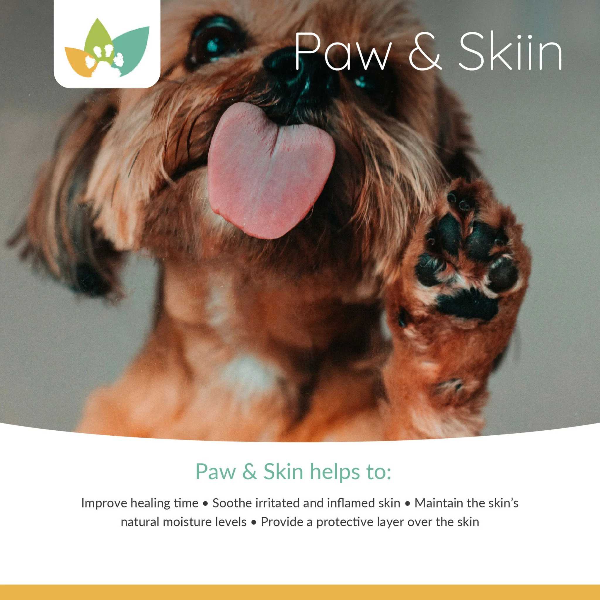 Arrowleaf Pet Paw & Skin (NaturPet In Canada) - For Bites, Scrapes, Cracked Pads, Hotspots
