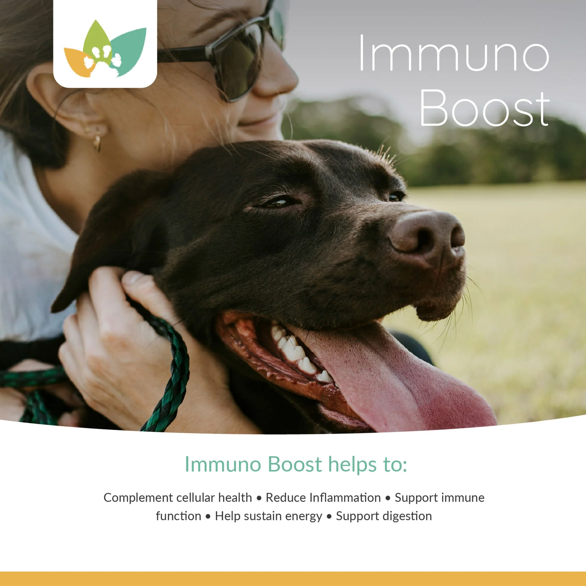Arrowleaf Pet Immuno Boost (NaturPet in Canada) - Full System Support with Ashwagandha and Turmeric