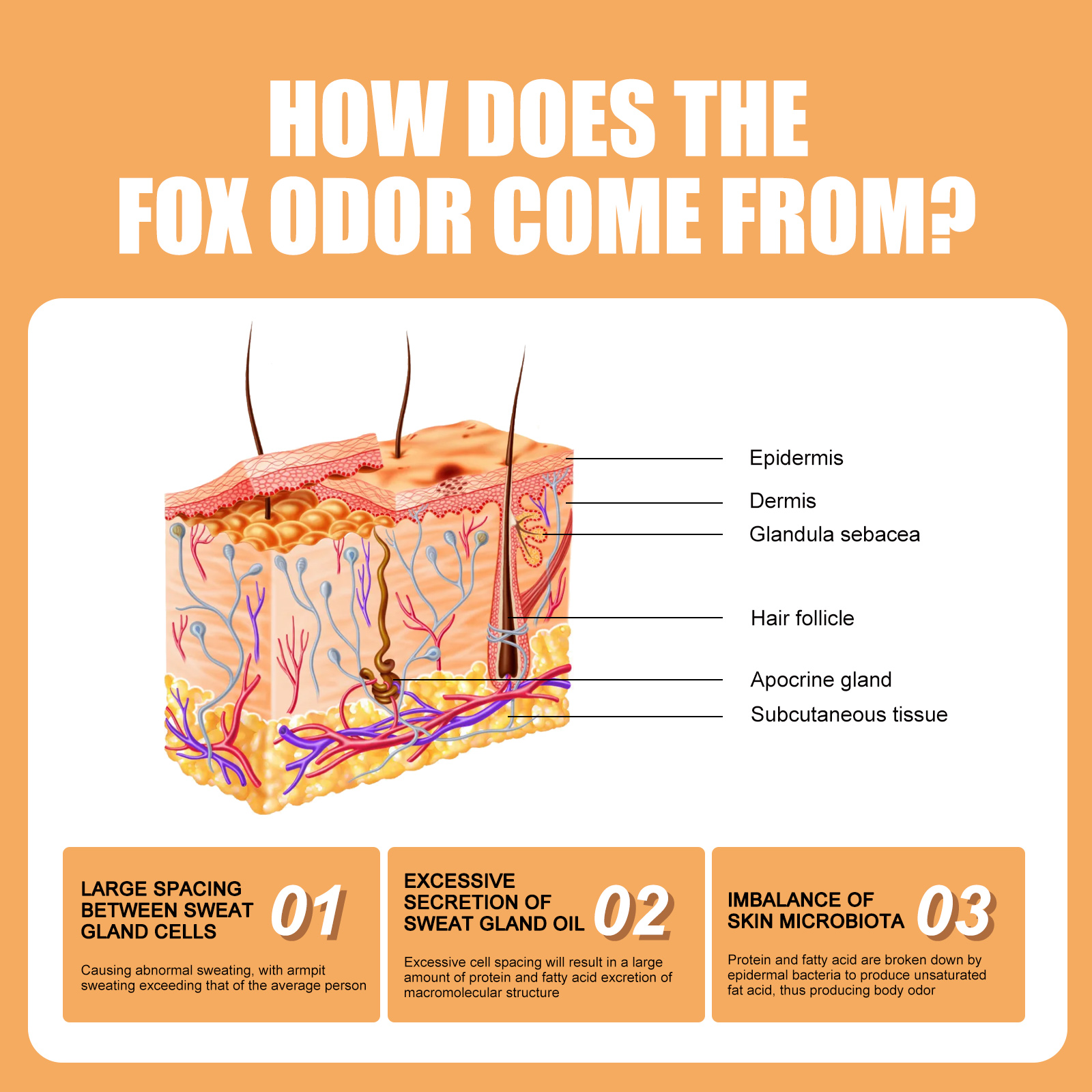 Women's body care stick - Refreshing in summer, effectively stops sweating, removes underarm odor, and leaves a long-lasting fragrance. Portable deodorant stick.