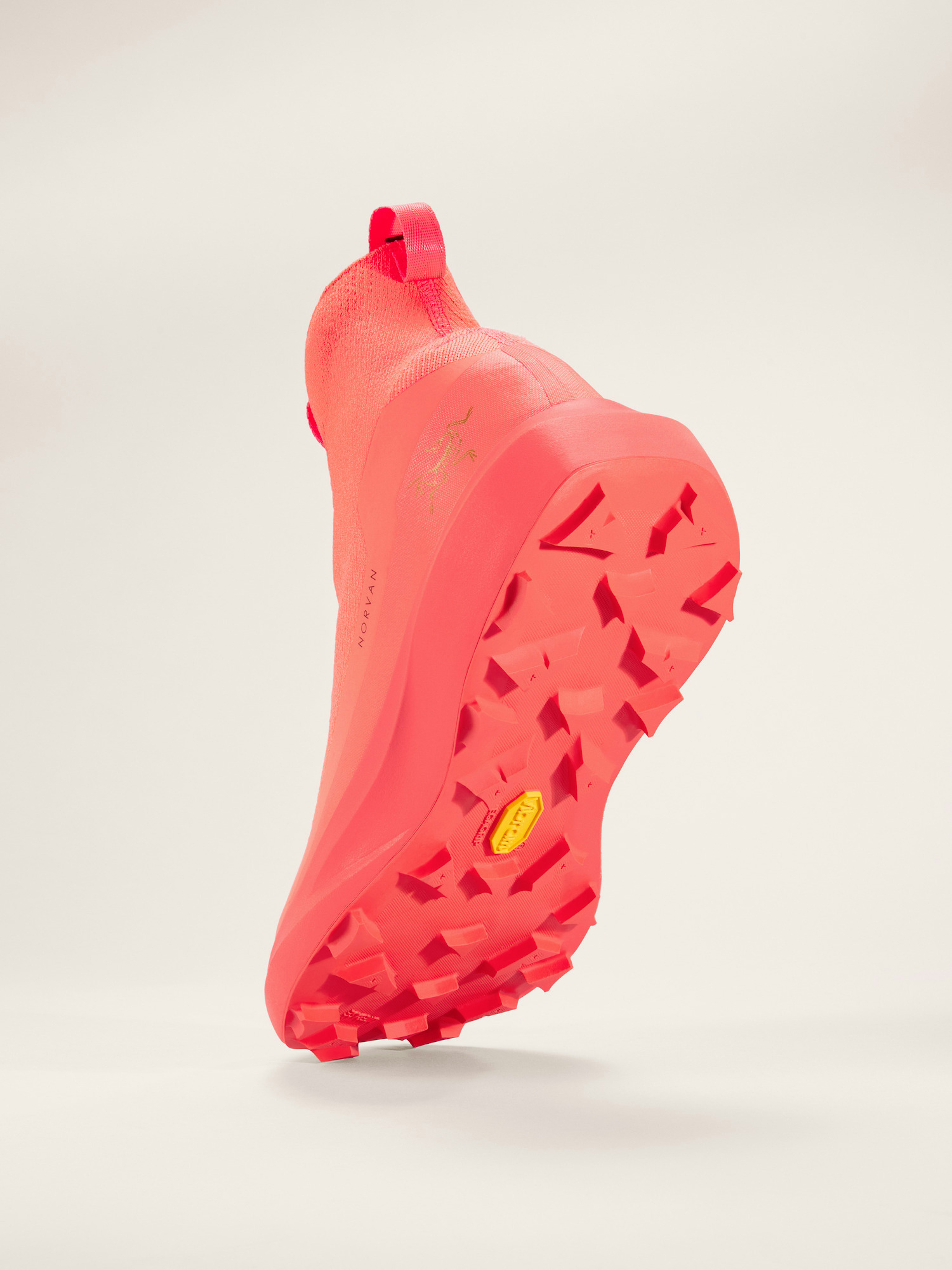 Norvan 4 Nivalis Shoe Women's