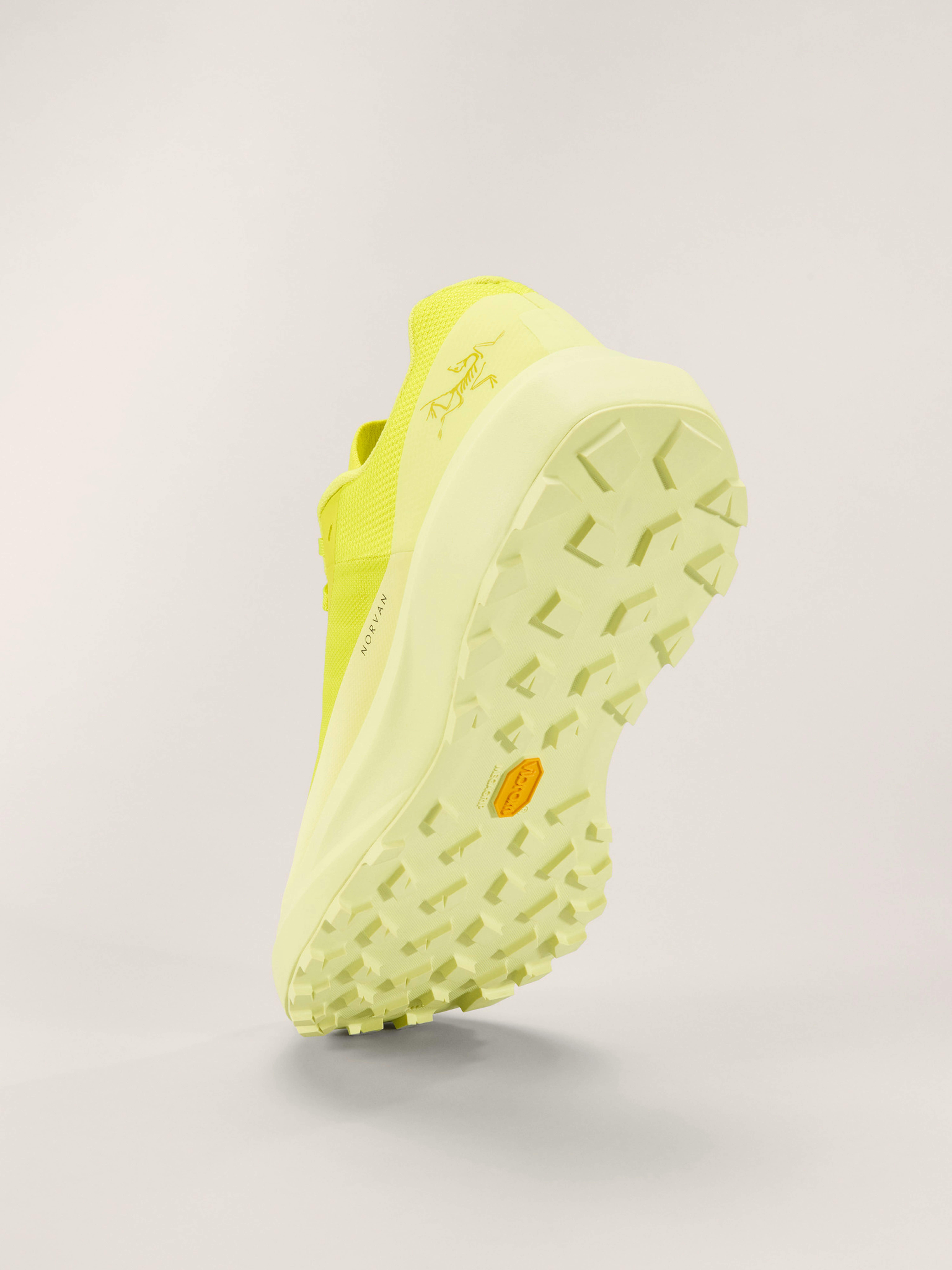 Norvan LD 4 Shoe Men's