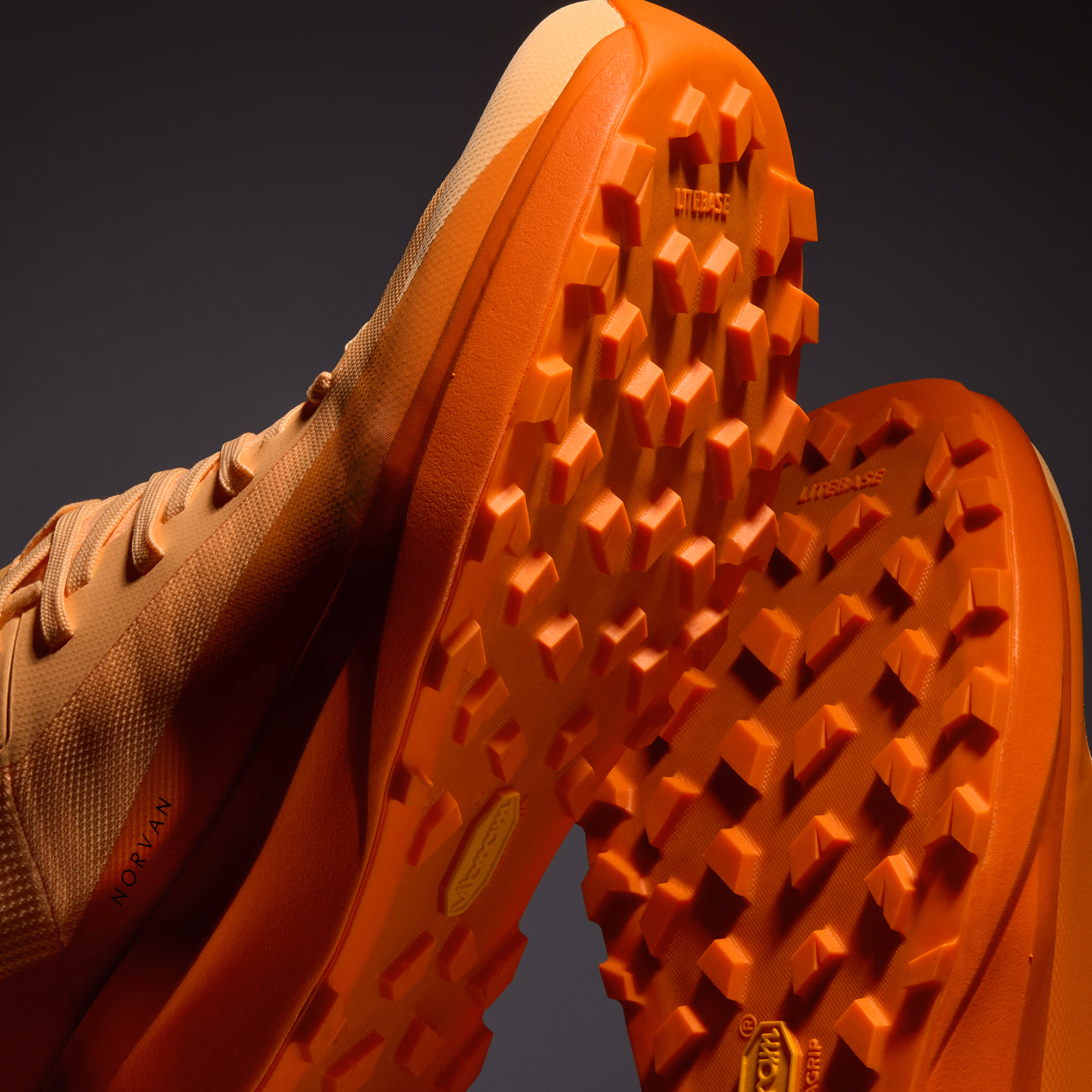 Norvan LD 4 GTX Shoe Men's