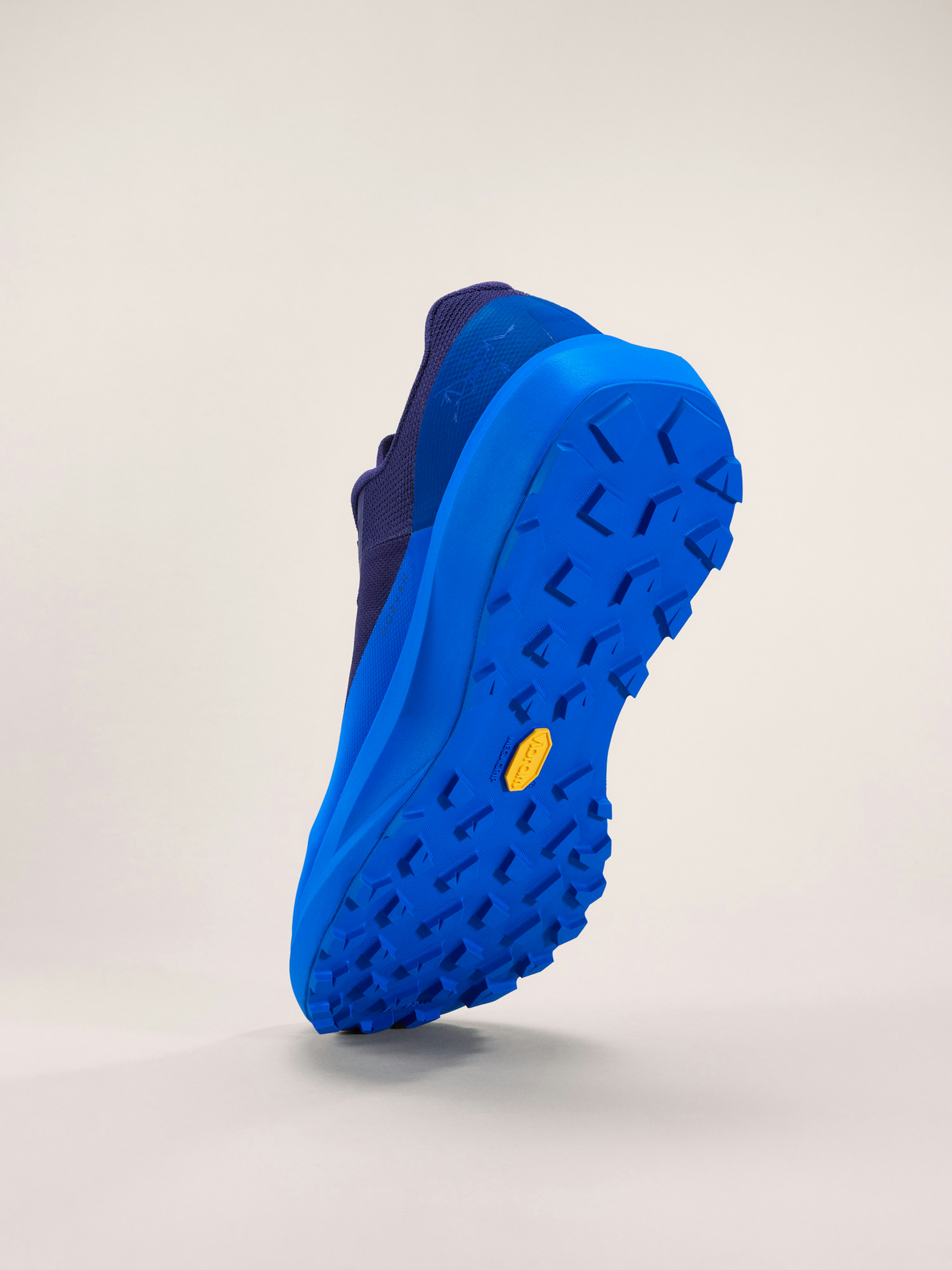 Norvan LD 4 Shoe Men's