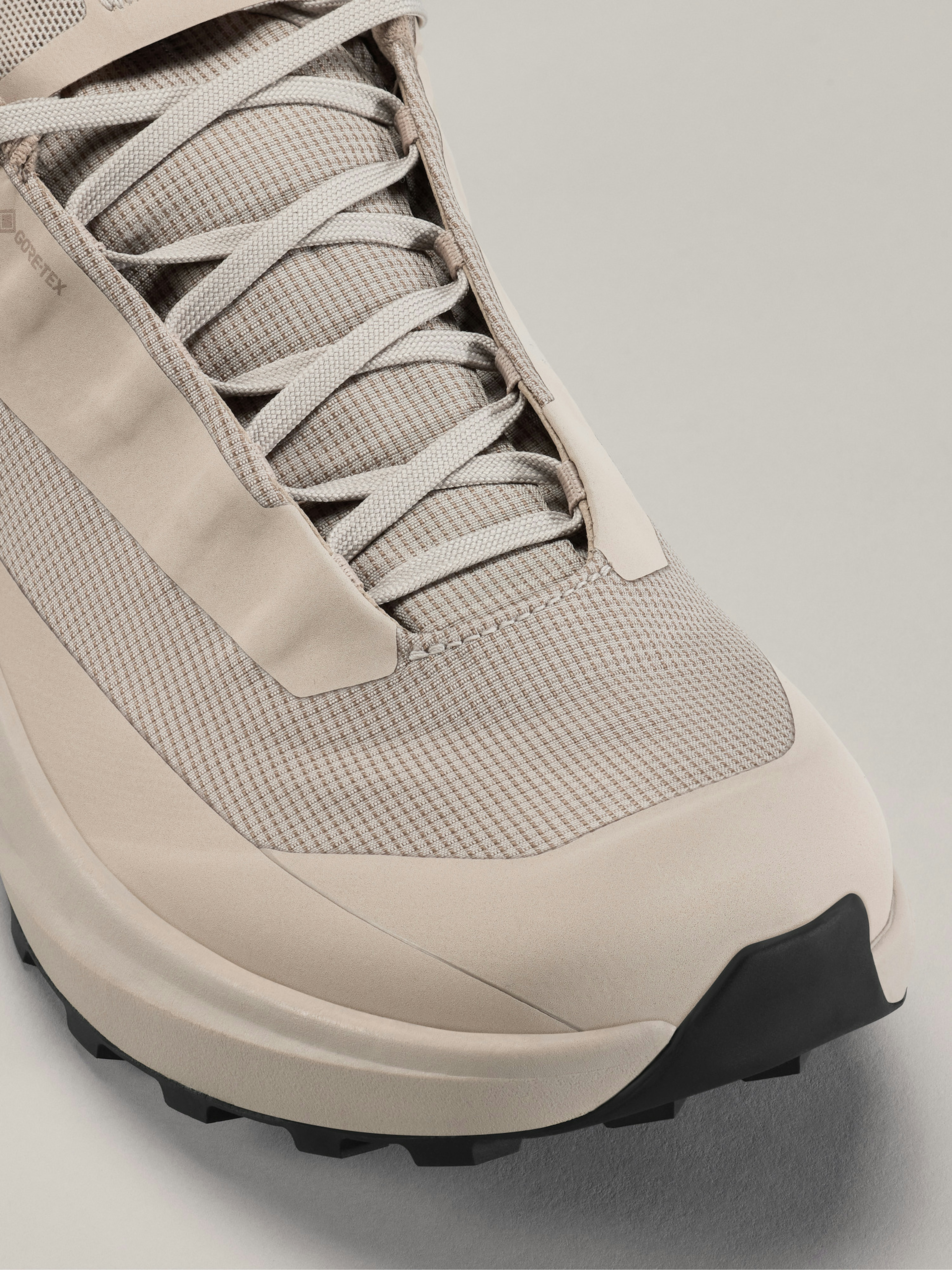 Norvan LD 4 GTX Shoe Men's