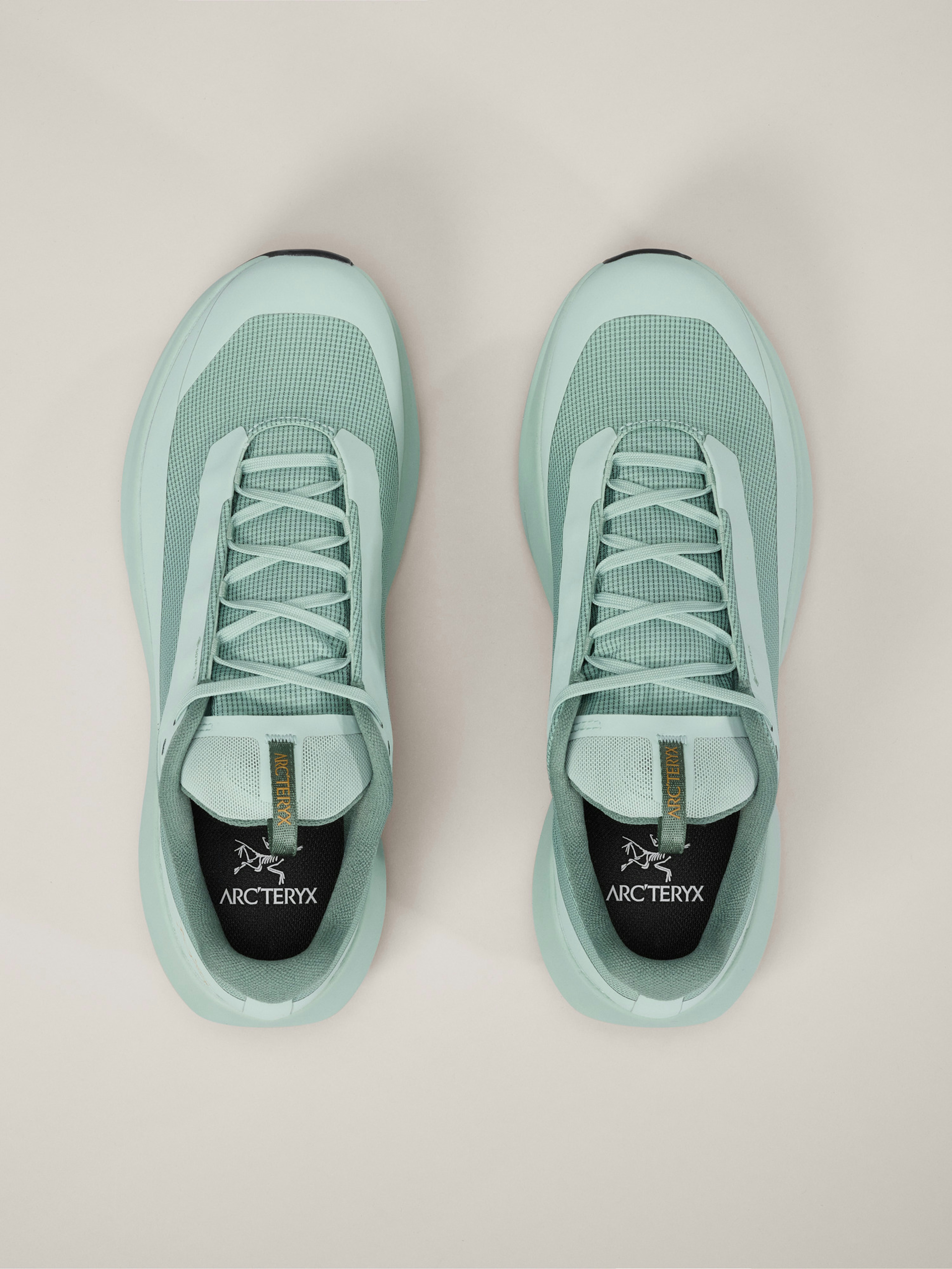 Norvan LD 4 GTX Shoe Men's