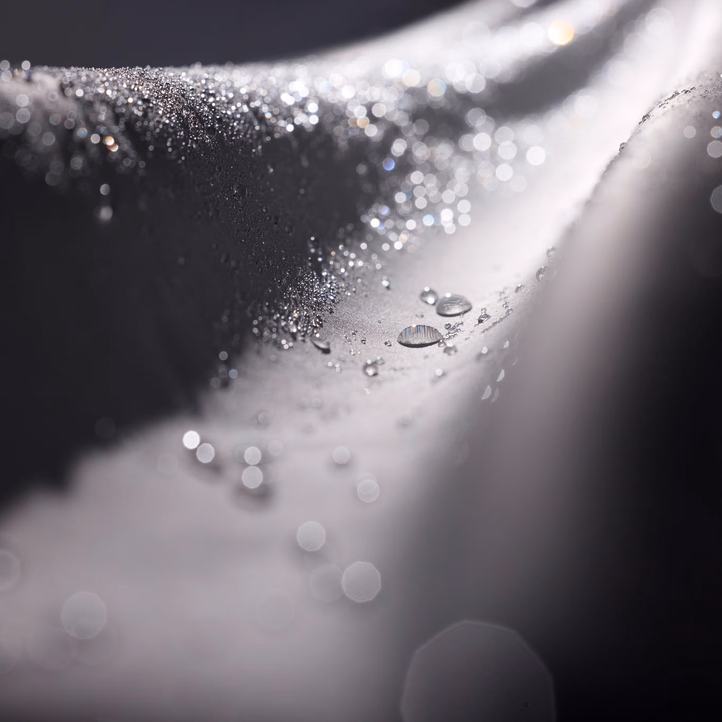 Alpha SV Jacket Men's