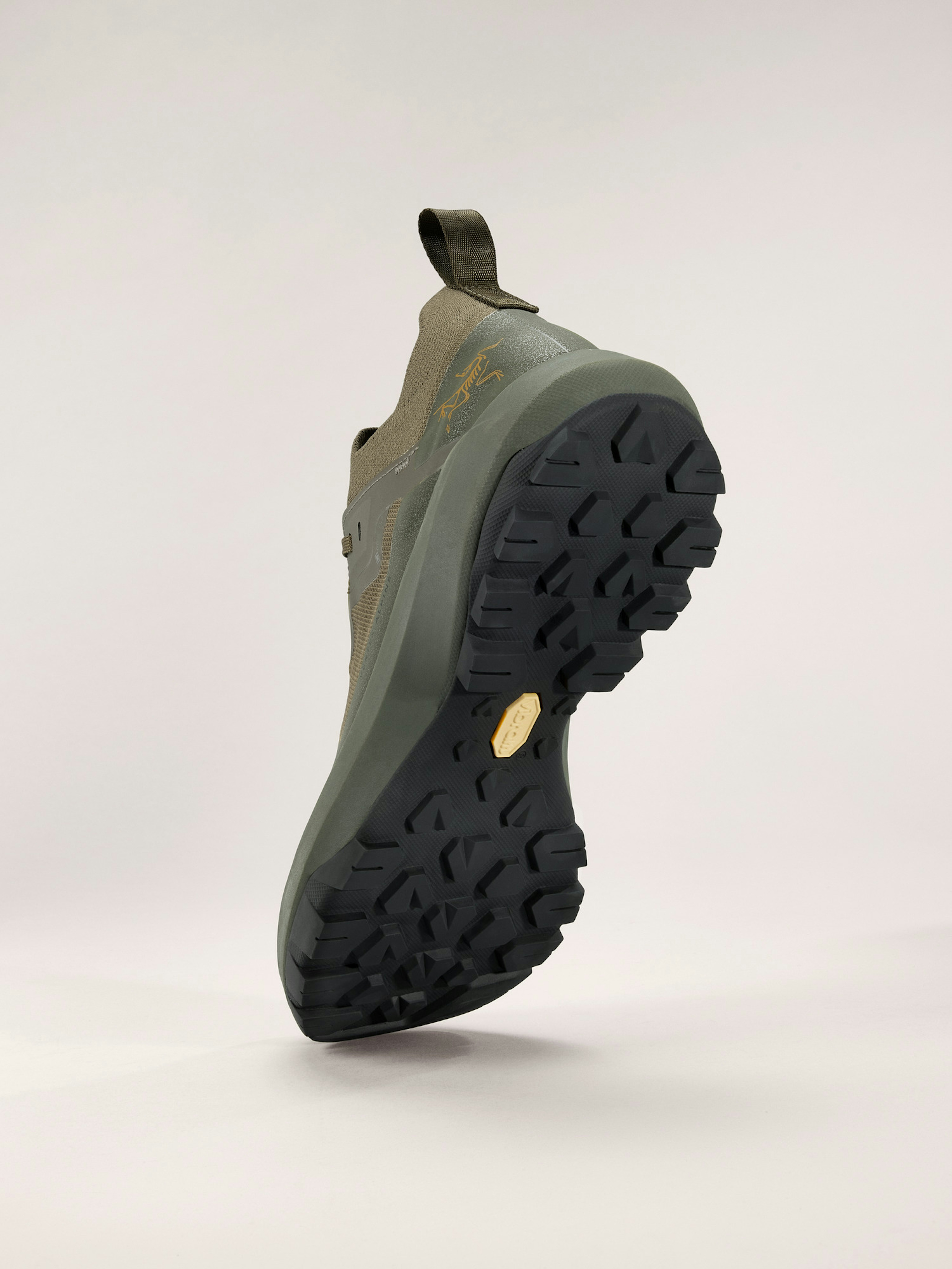 Vertex Alpine GTX Shoe Men's