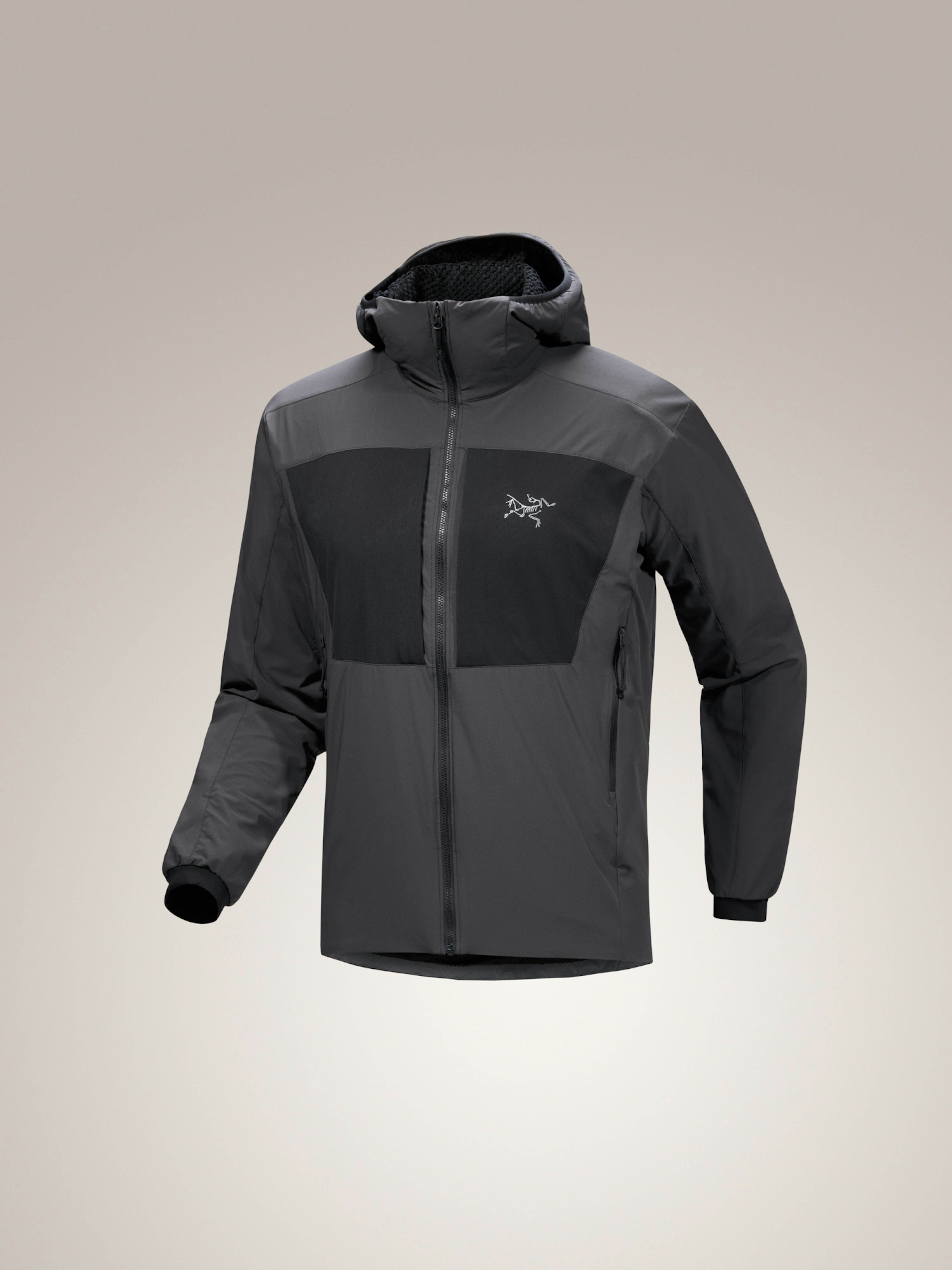 Practitioner AR Hoody Men's