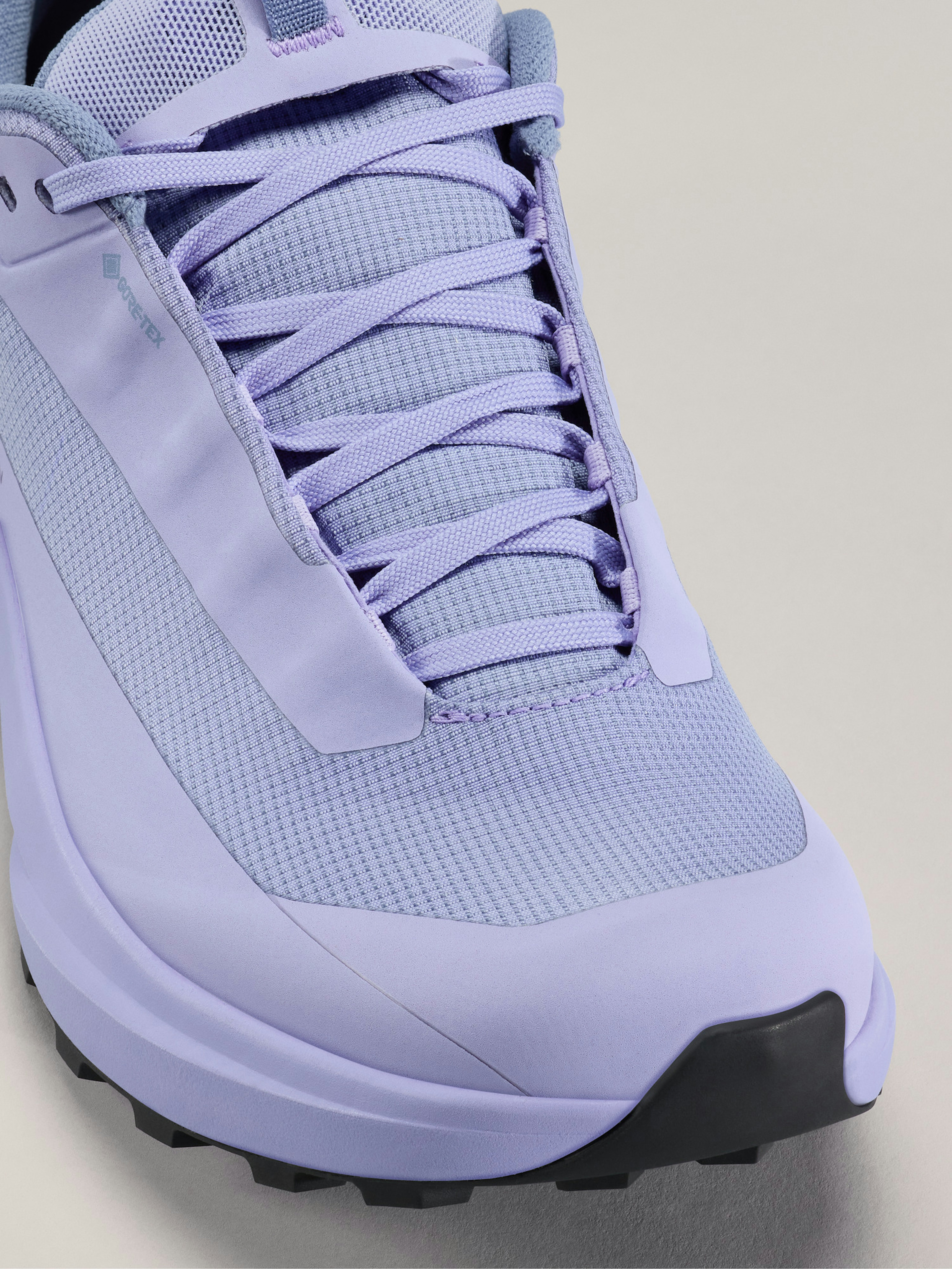 Norvan LD 4 GTX Shoe Women's