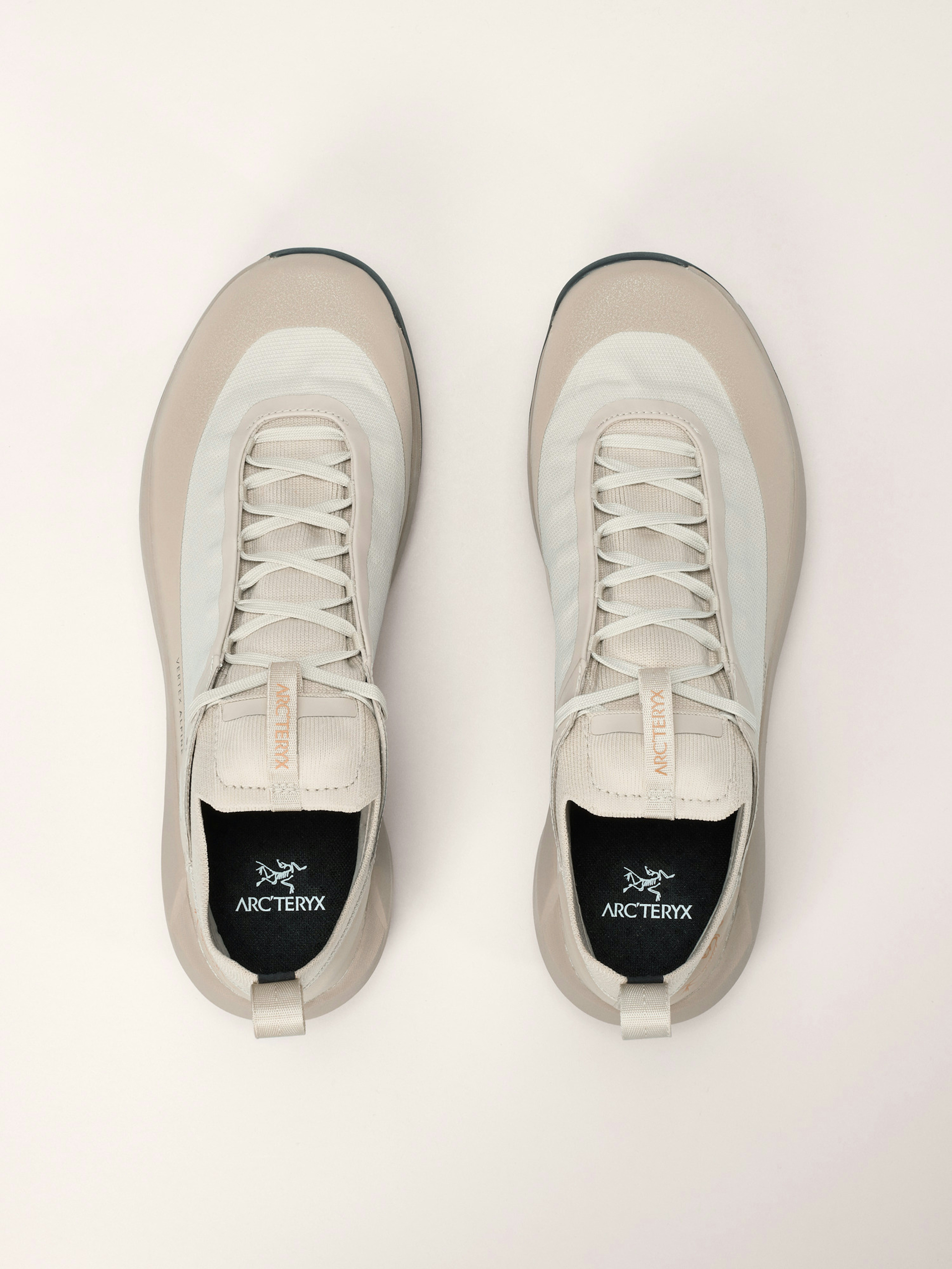 Vertex Alpine GTX Shoe Men's