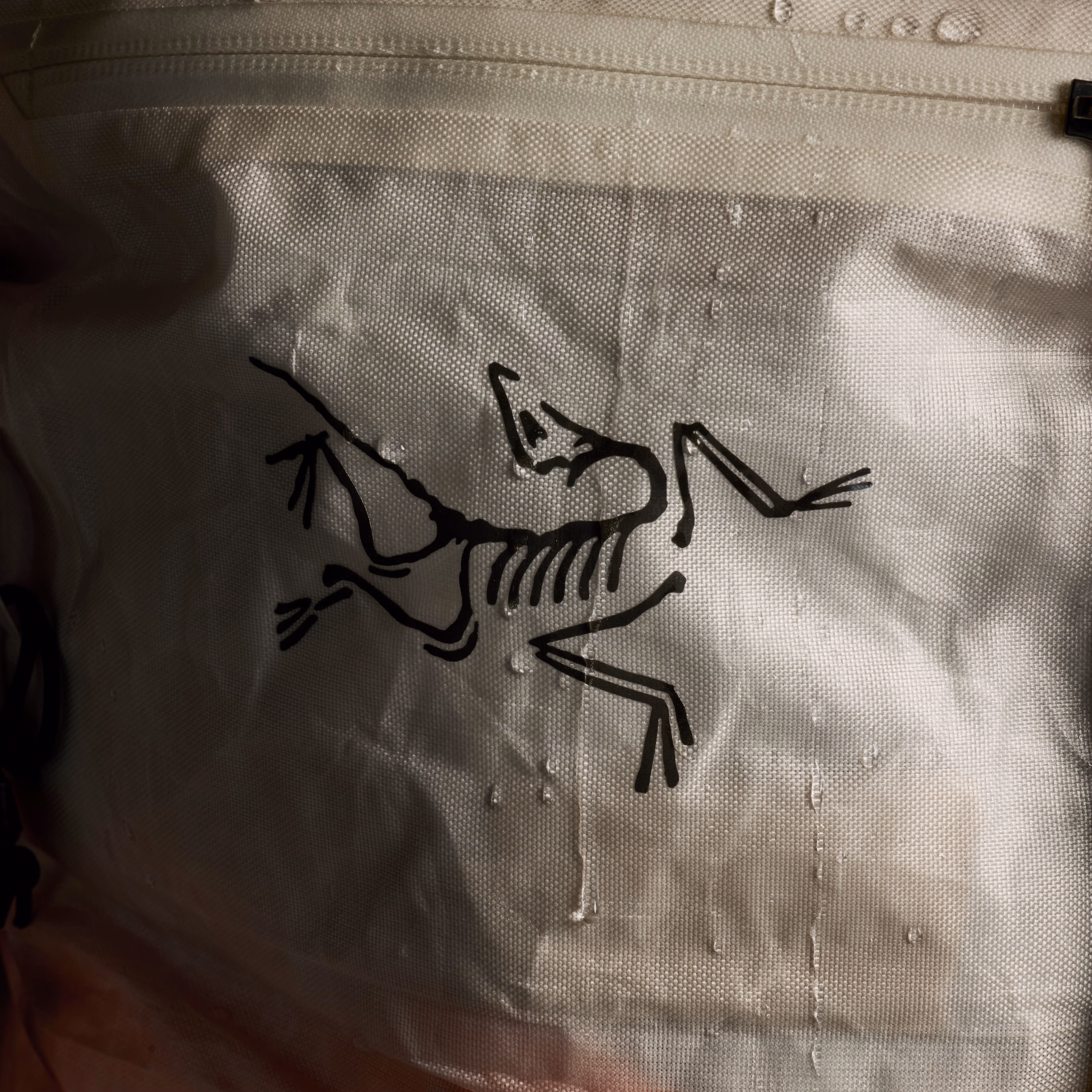 Alpha SL 30 Backpack