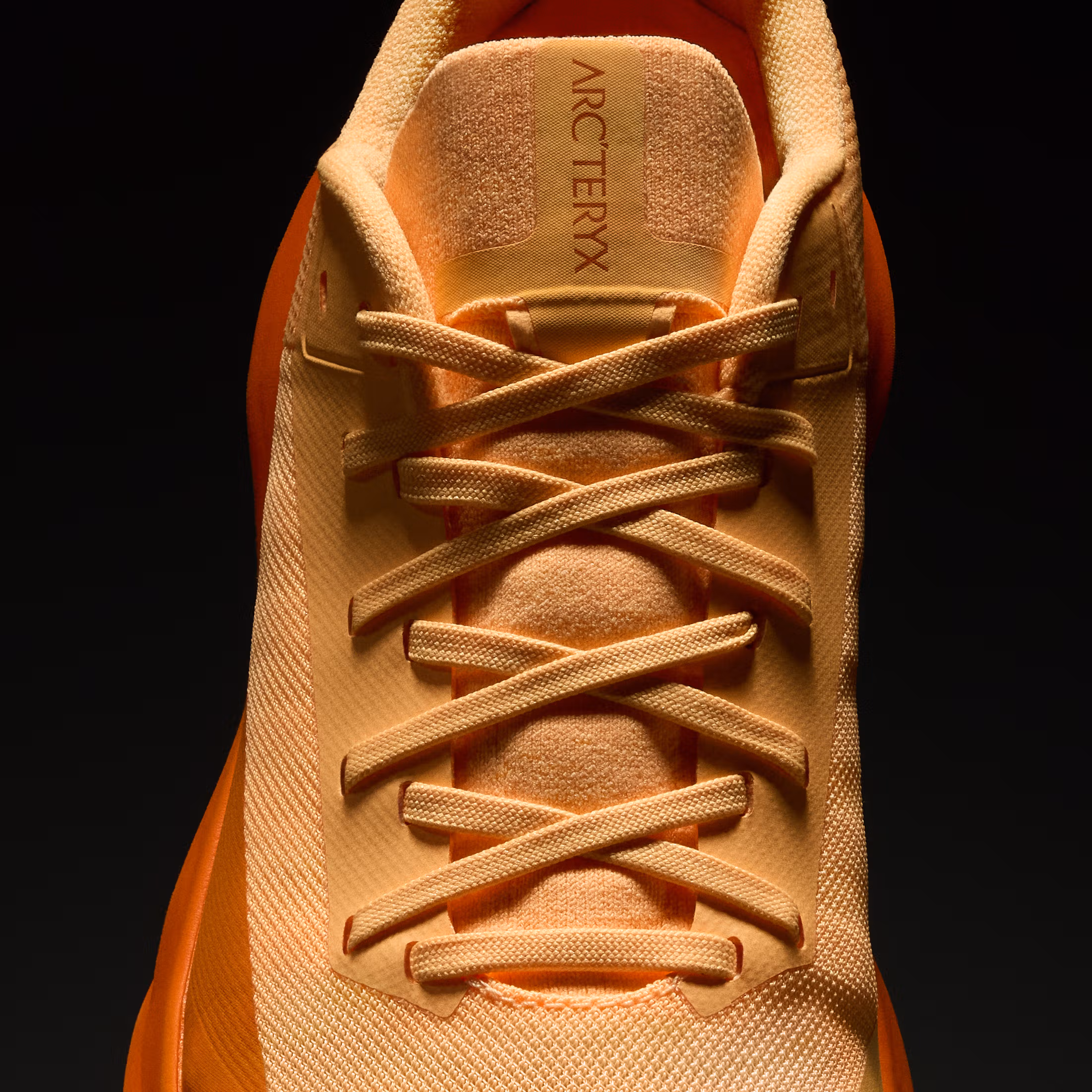 Norvan LD 4 GTX Shoe Men's