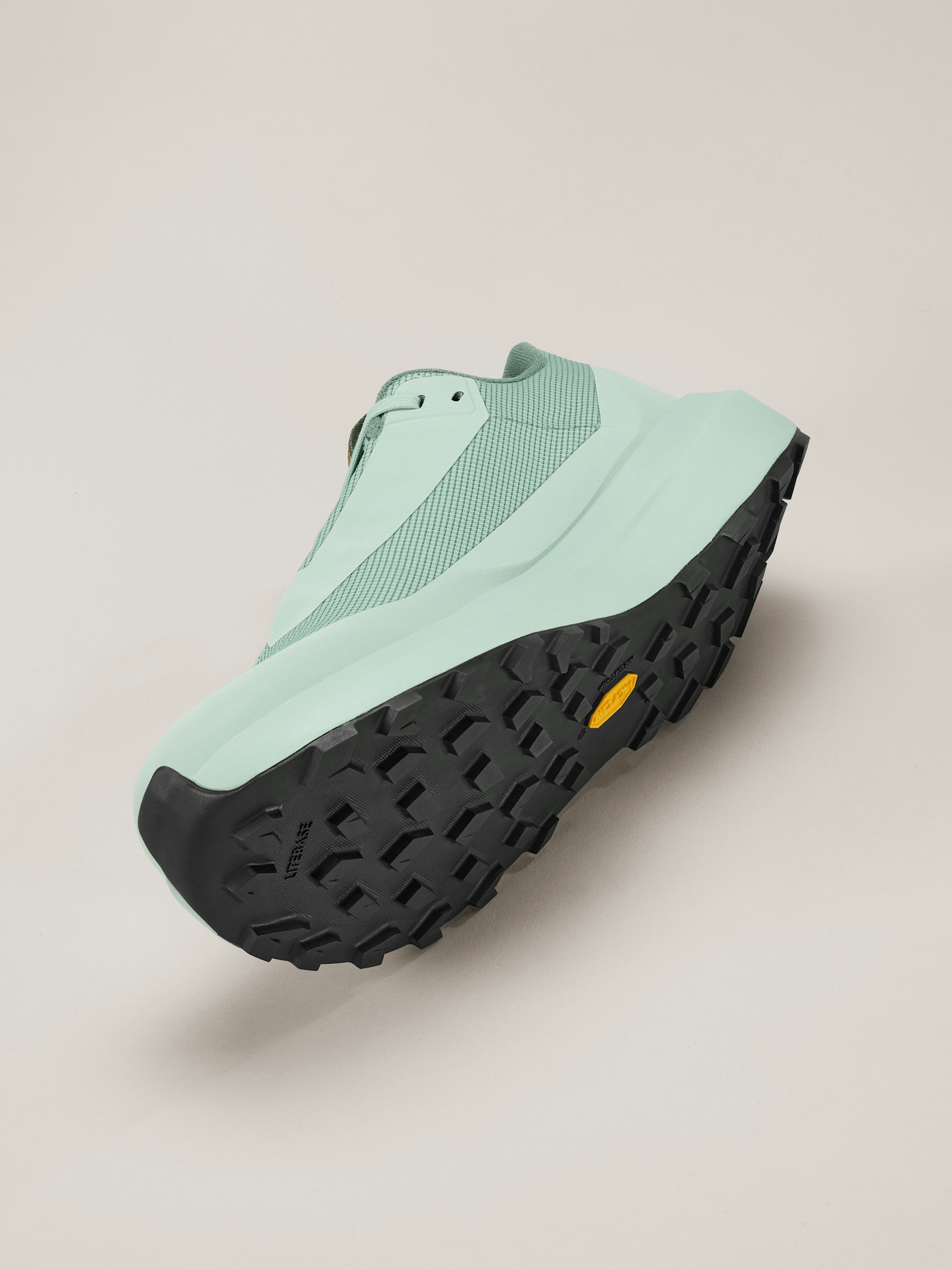 Norvan LD 4 GTX Shoe Men's