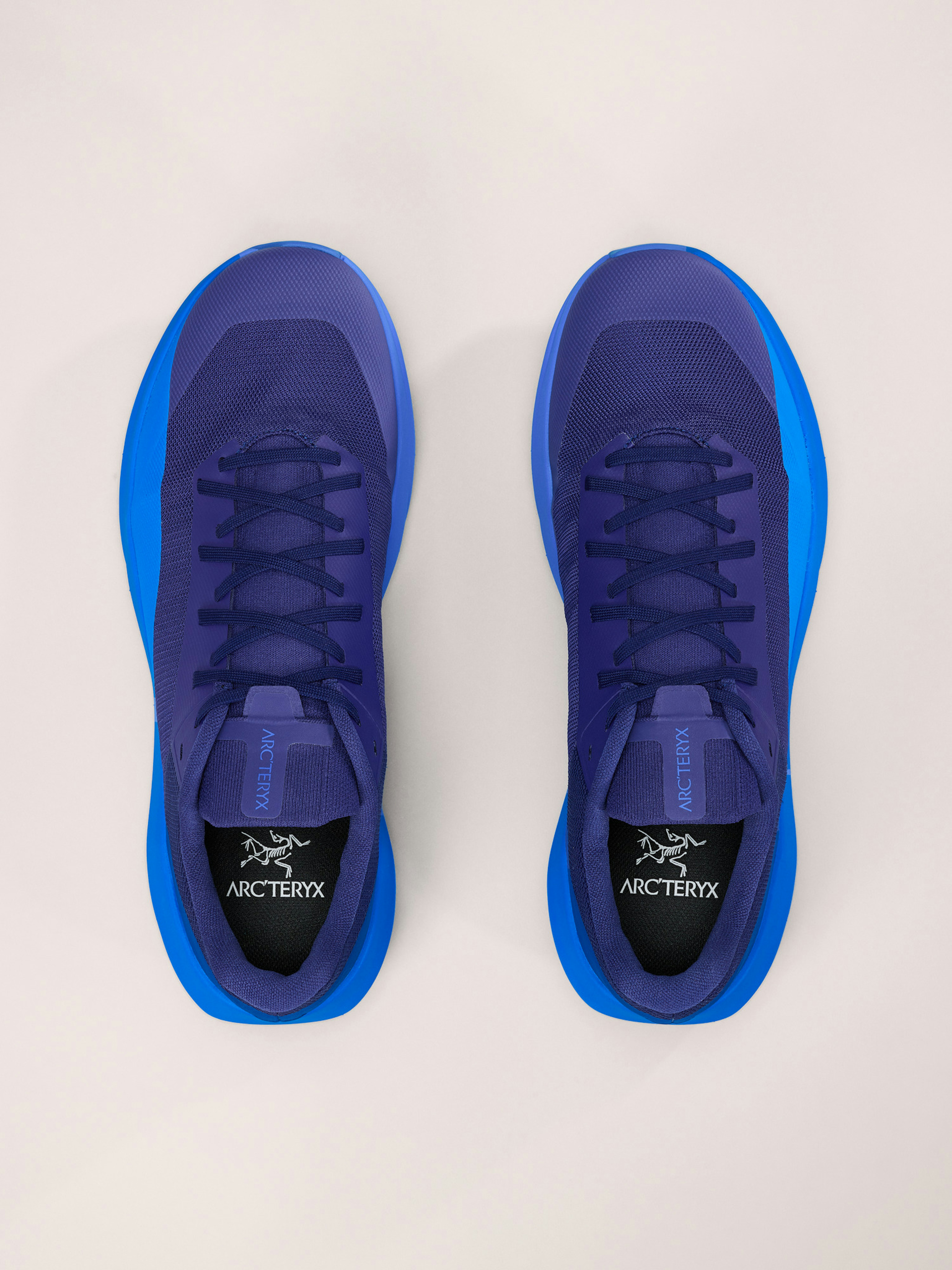 Norvan LD 4 Shoe Men's