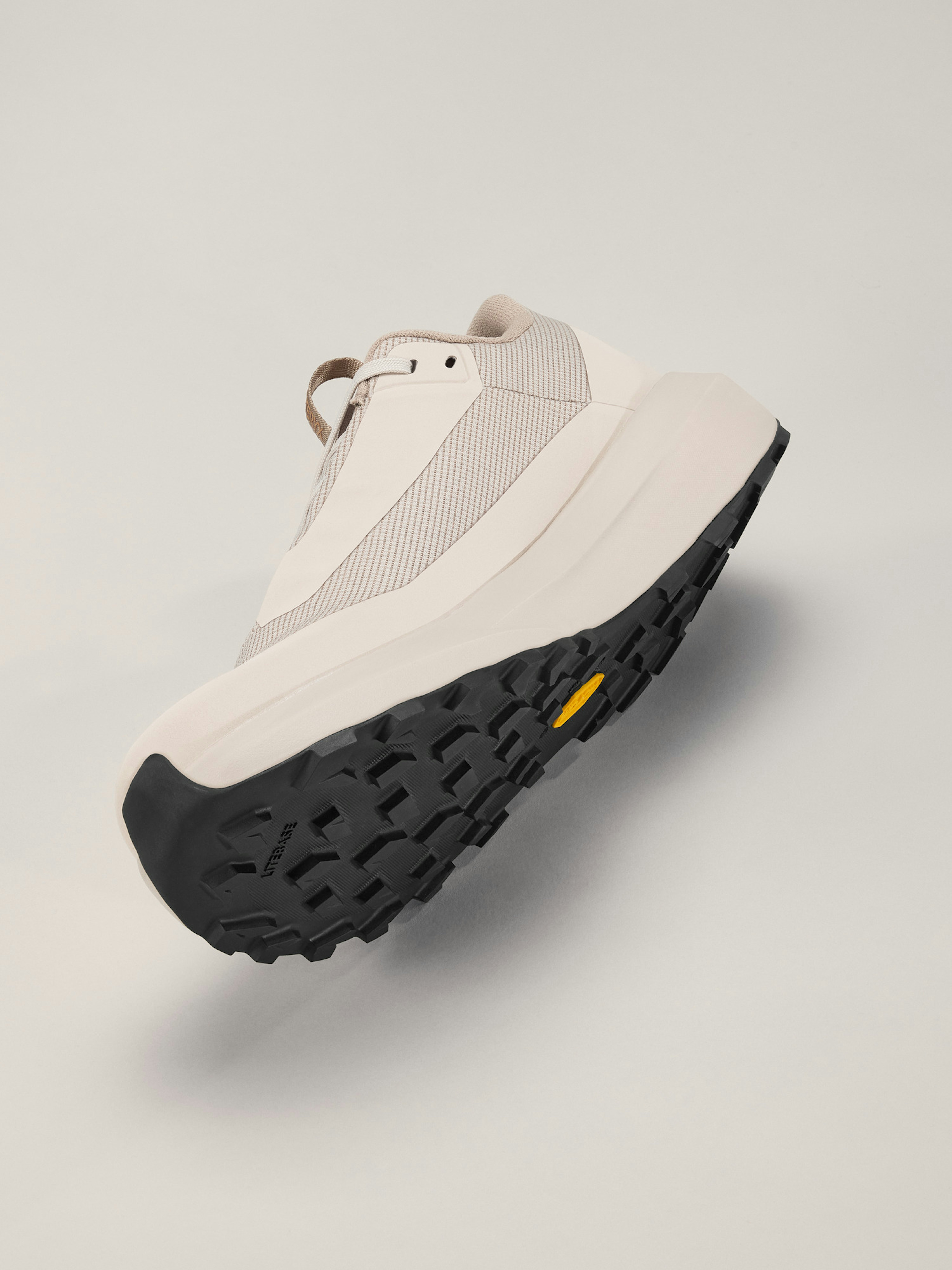 Norvan LD 4 GTX Shoe Men's