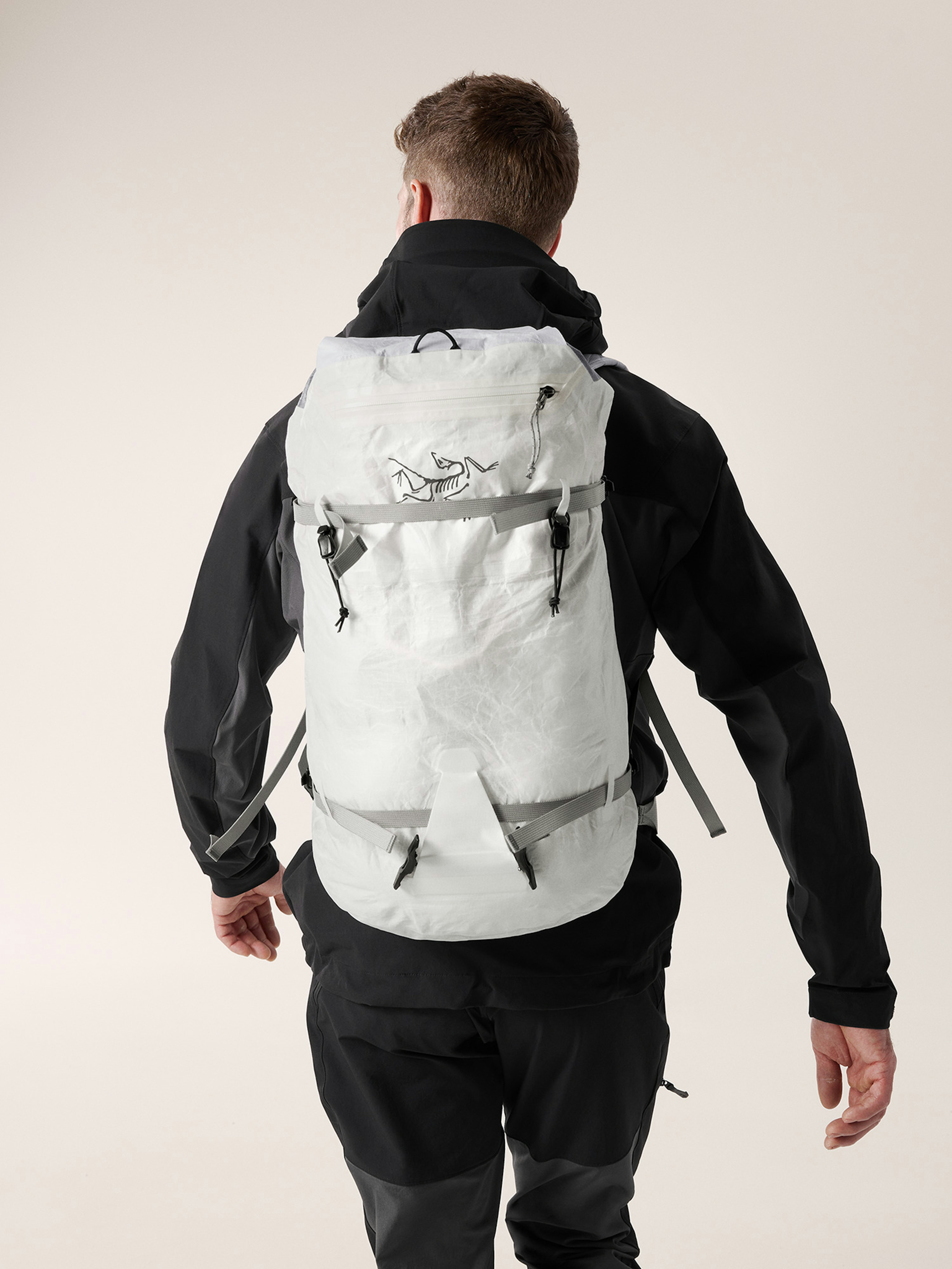 Alpha SL 30 Backpack