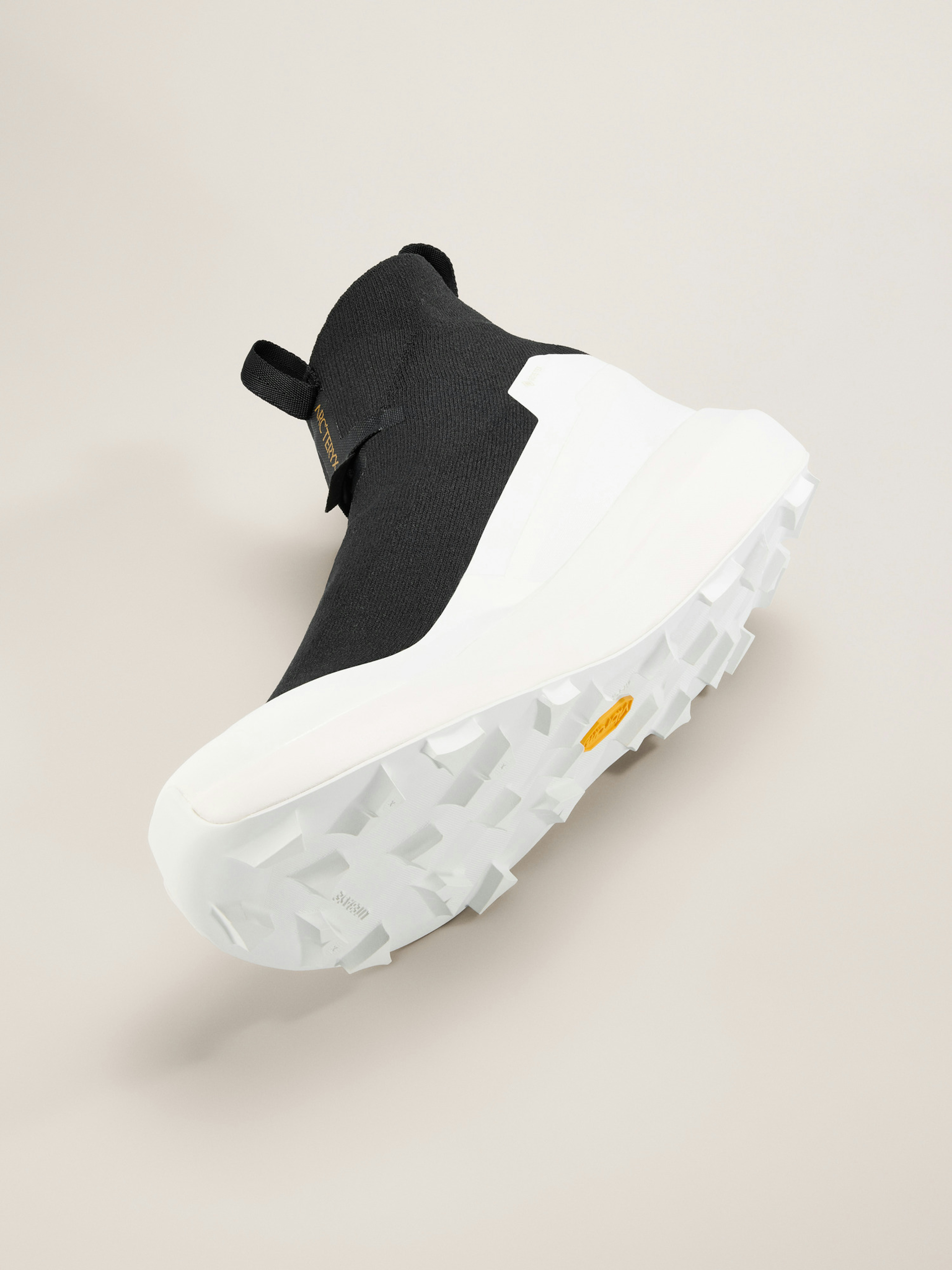 Norvan 4 Nivalis Shoe Men's